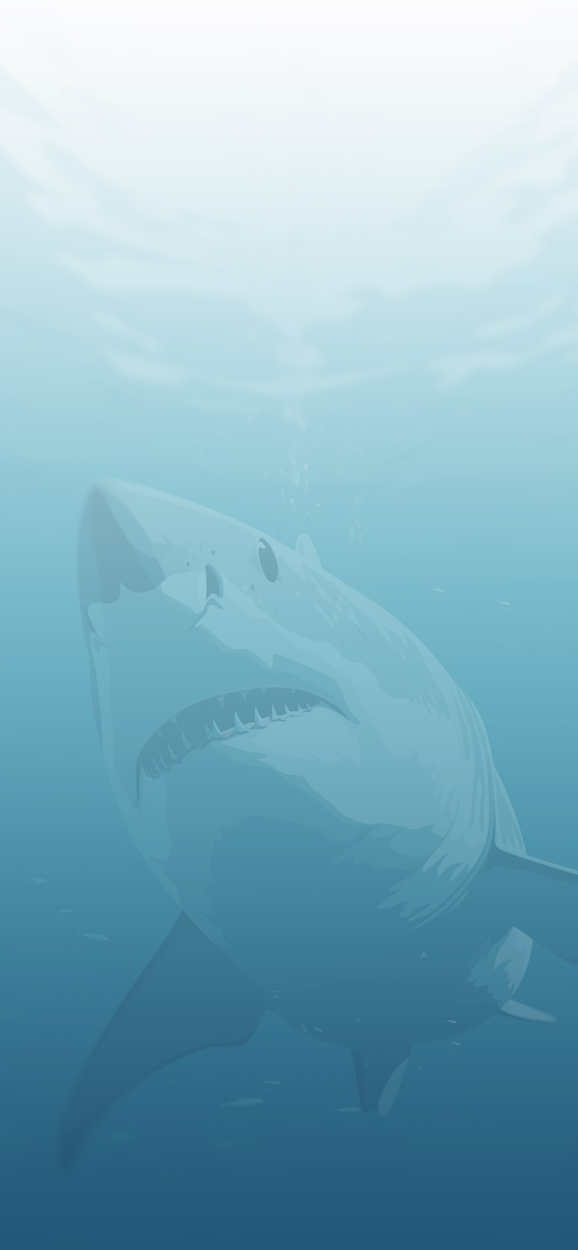 White Shark Blue Wallpaper