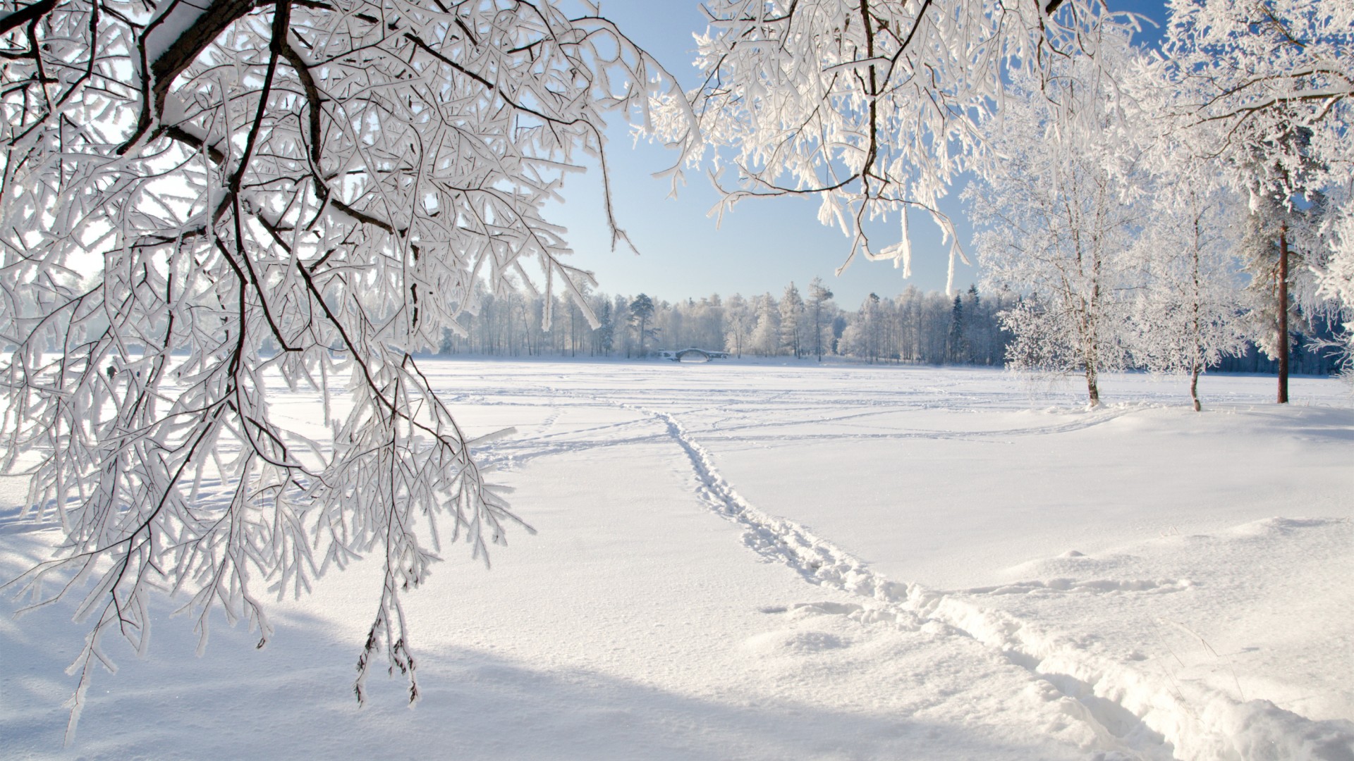 Wallpaper Snow Winter Field Footprints In The