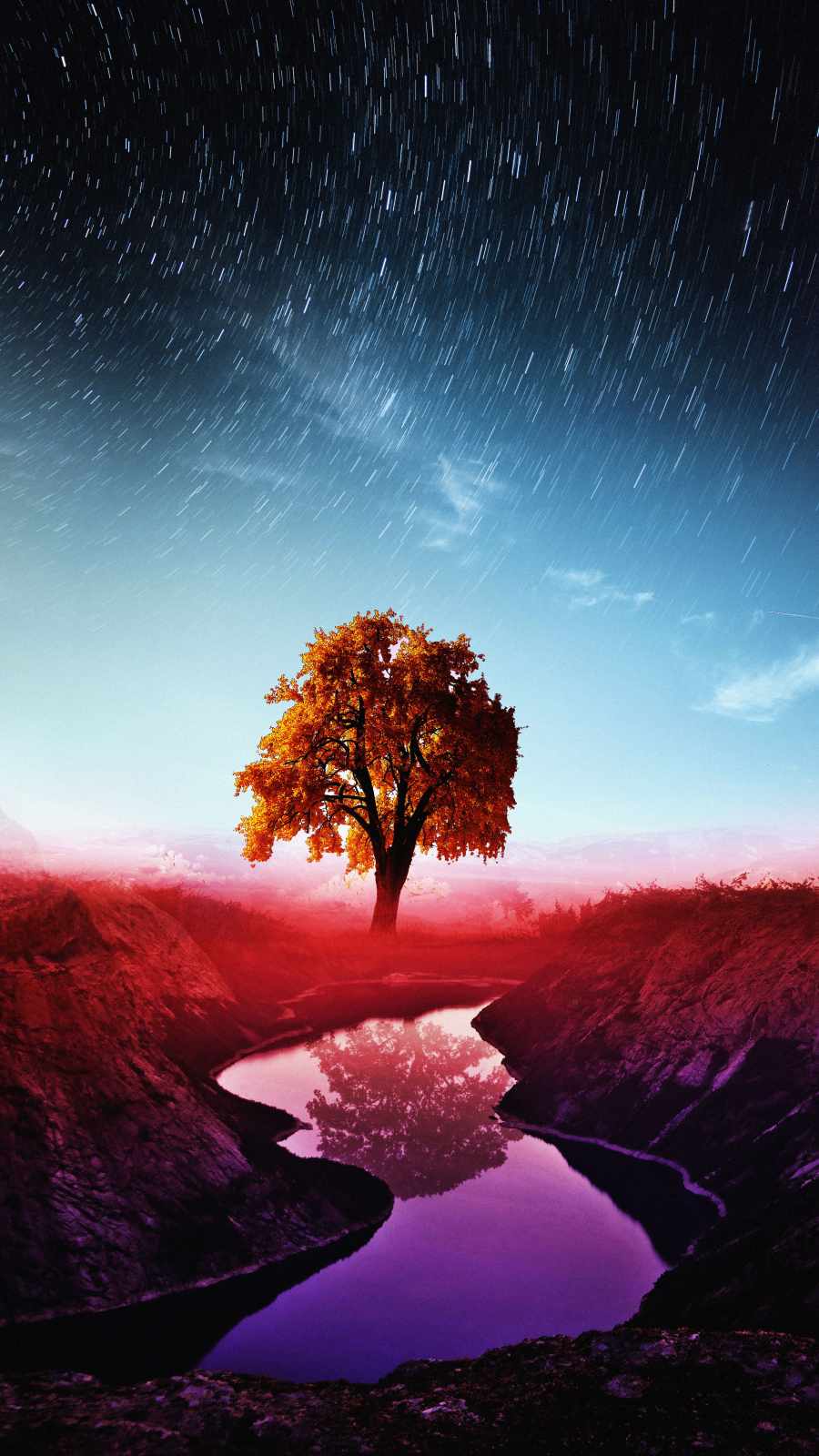 Magical Tree Of Life iPhone Wallpaper HD