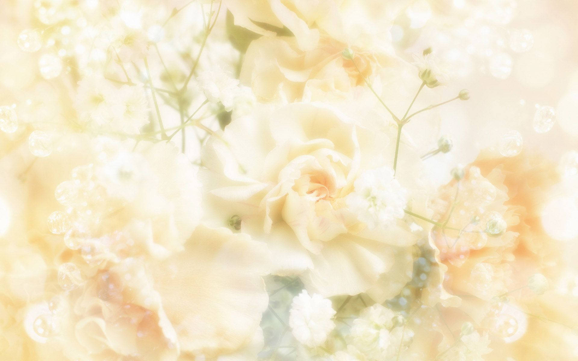 Wedding Aesthetic Wallpaper