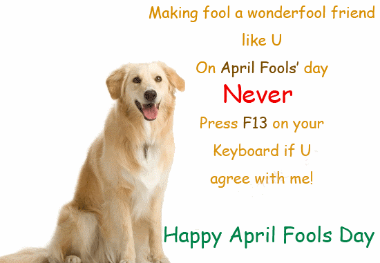 April Fools Day Ments Fool Wallpaper