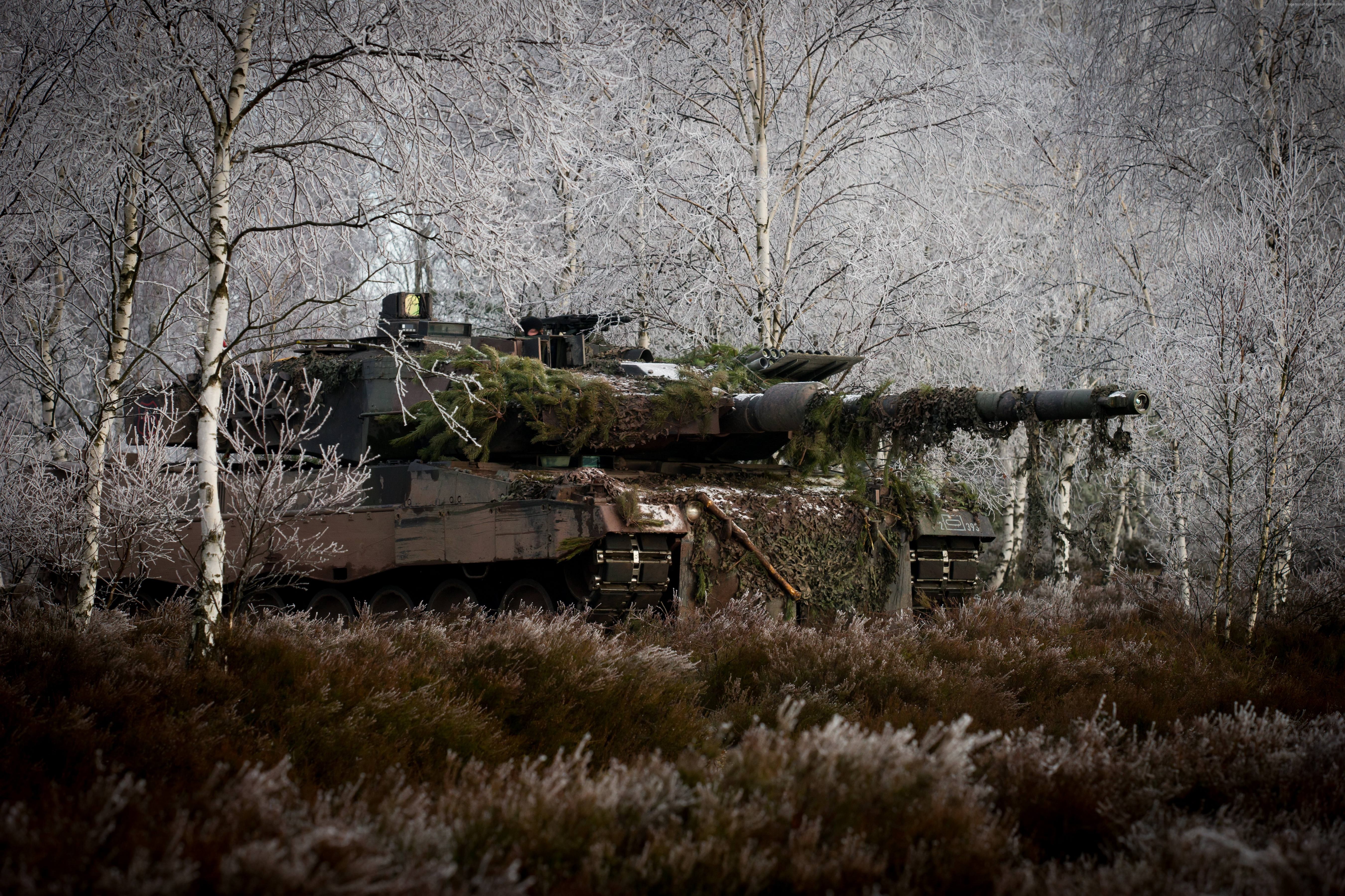 Wallpaper Leopard 2a6m Can Mbt Tank German Forest