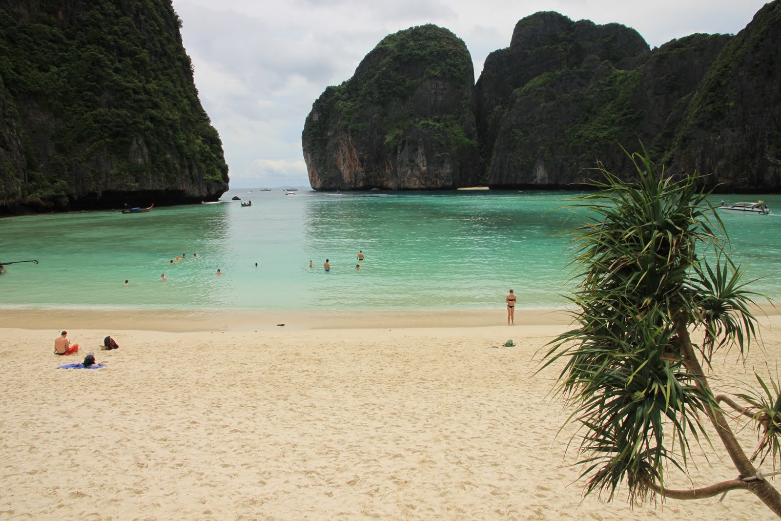 Beach Thailand Phi