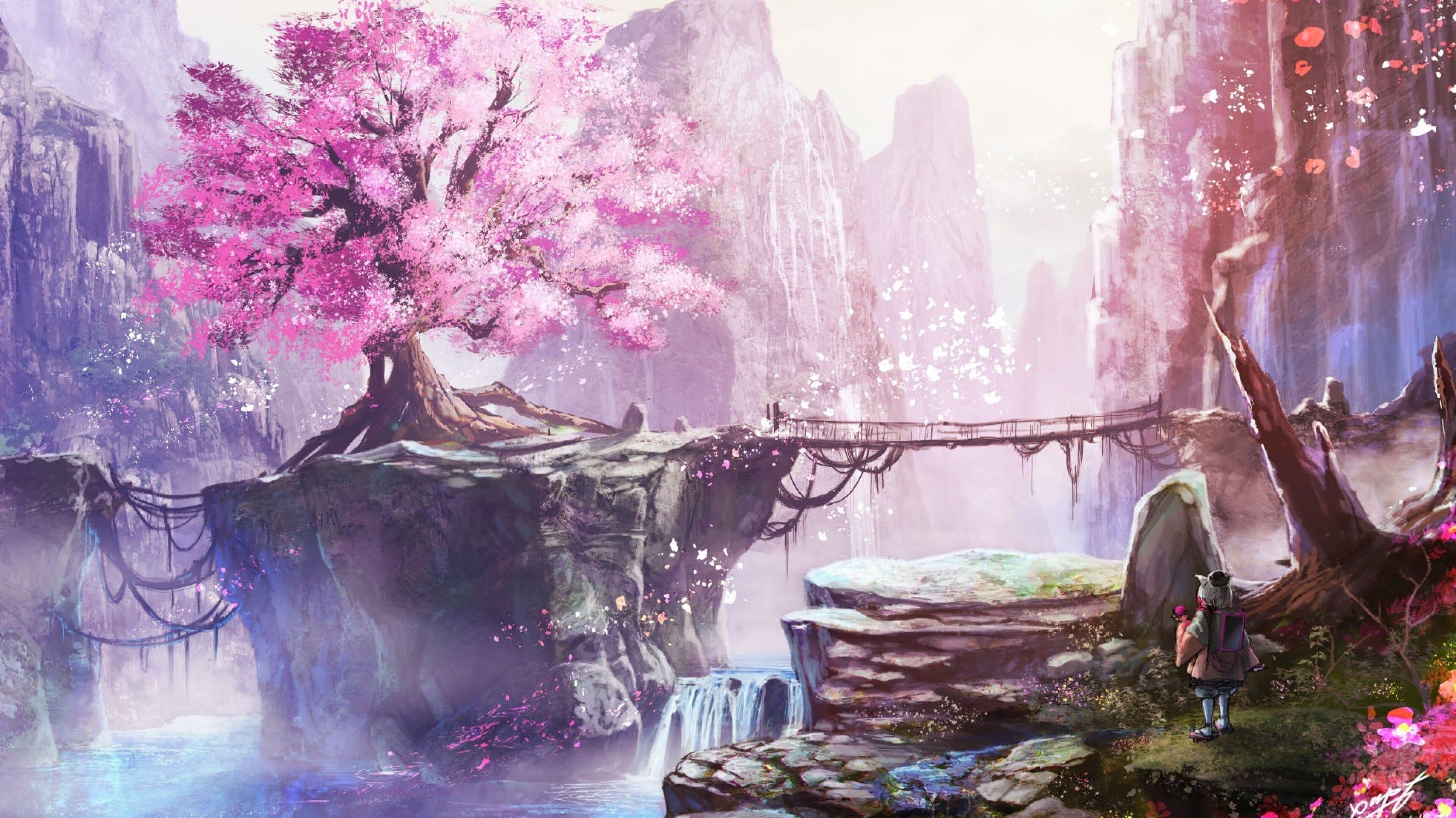Cherry Blossom Tree R Wallpaper