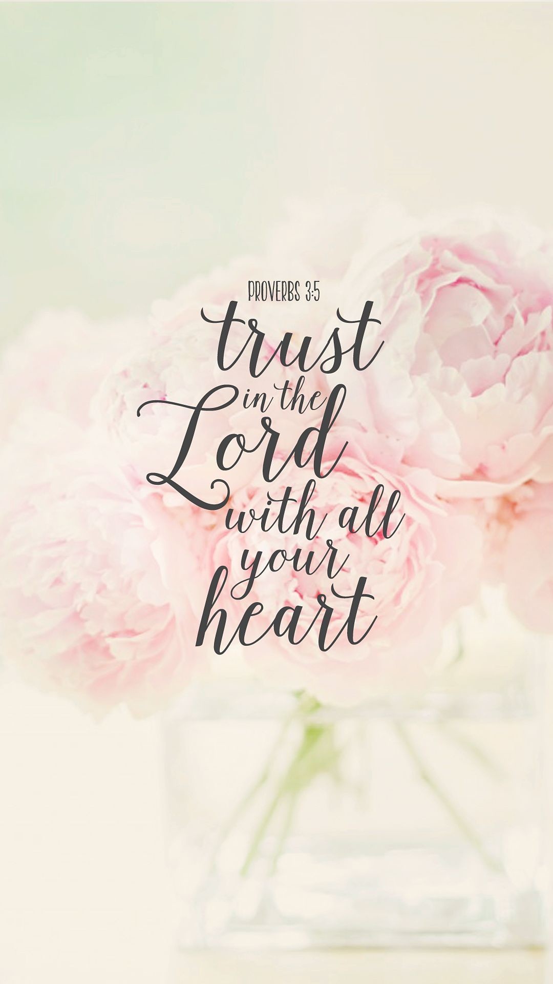 Pink flowers with Proverbs 3:5 quote