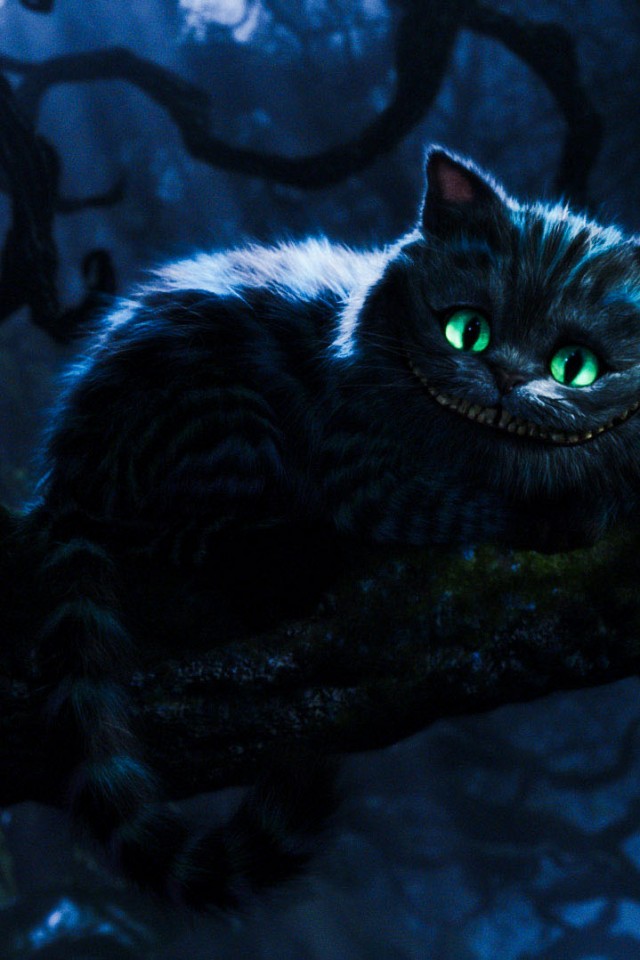 Cheshire Cat Wallpaper iPhone - WallpaperSafari