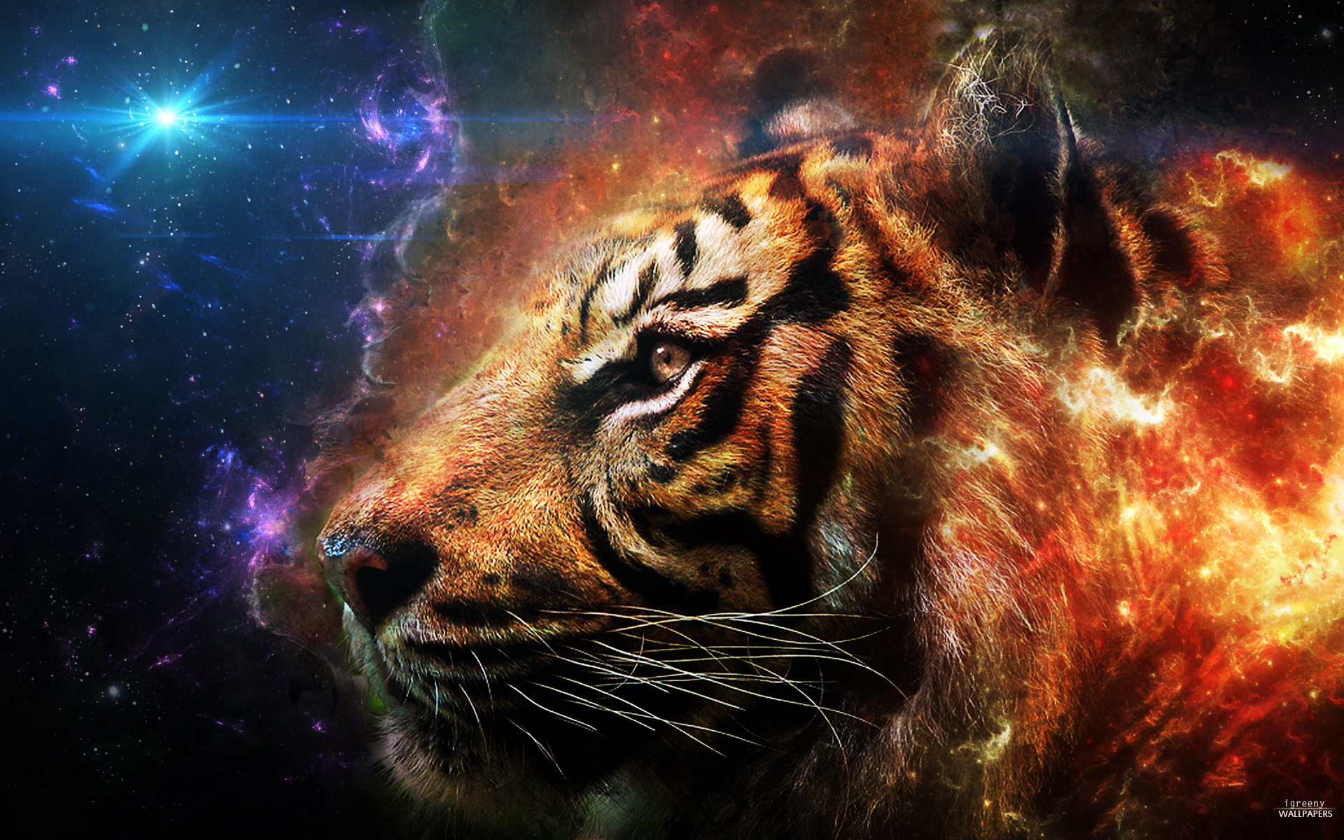 Tiger Puter Wallpaper Desktop Background Id