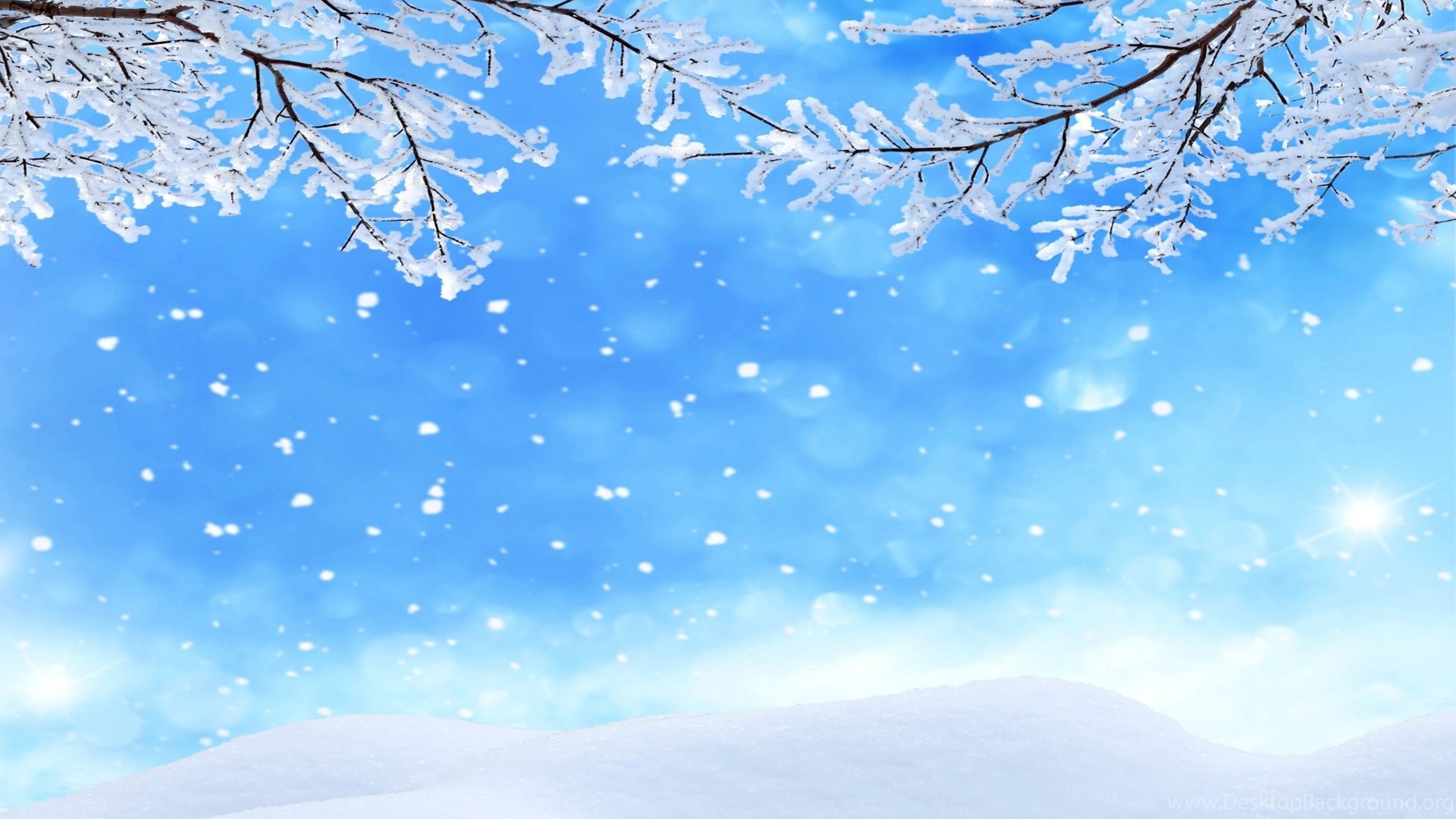 A serene winter landscape with snow-covered branches and gently falling snow against a bright blue sky