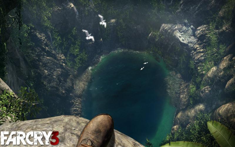 HD Far Cry 3 Wallpaper Download   135304 800x500
