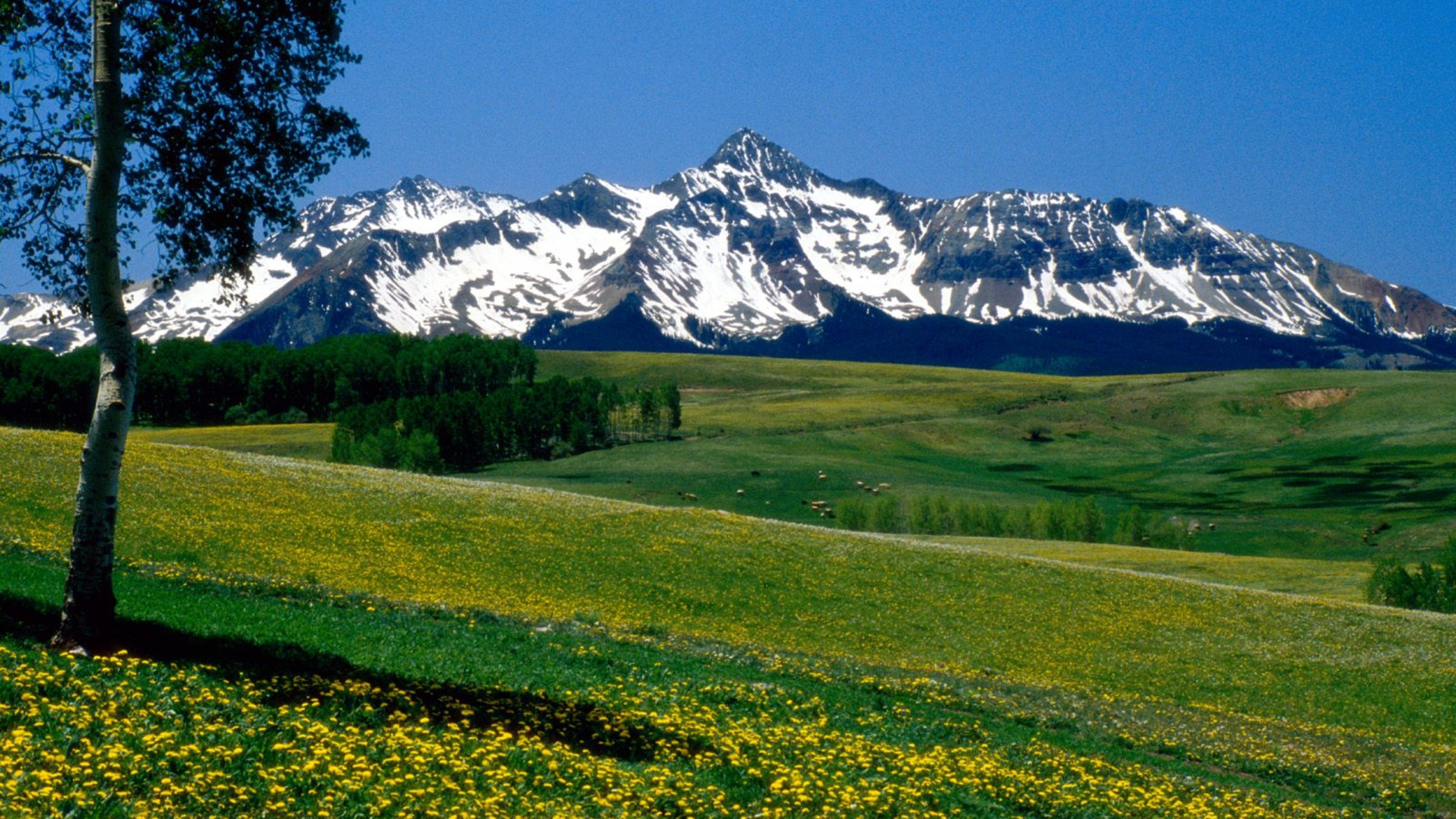 Colorado Background Wallpaper