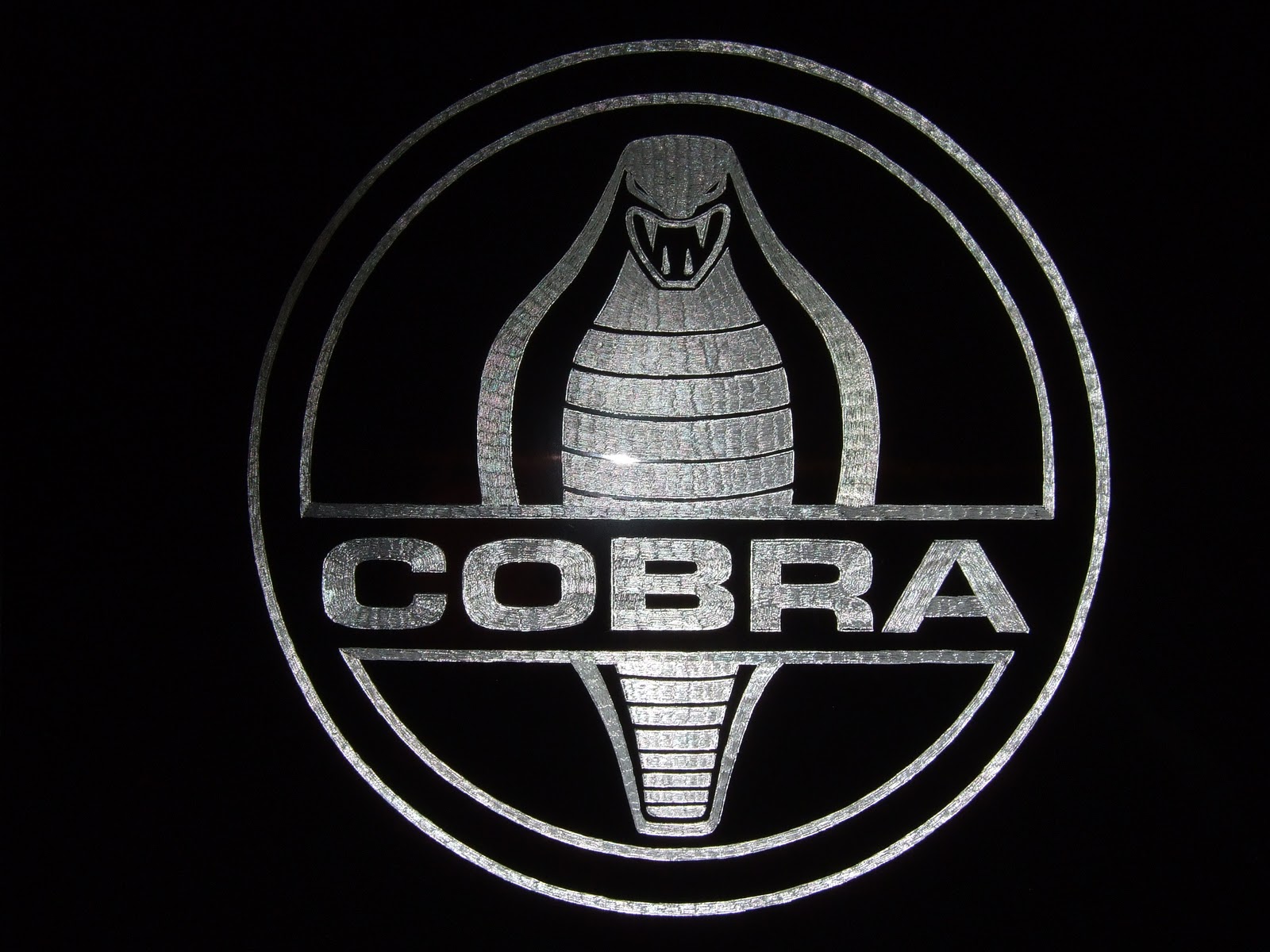 Shelby Cobra Logo by Hotcars on DeviantArt