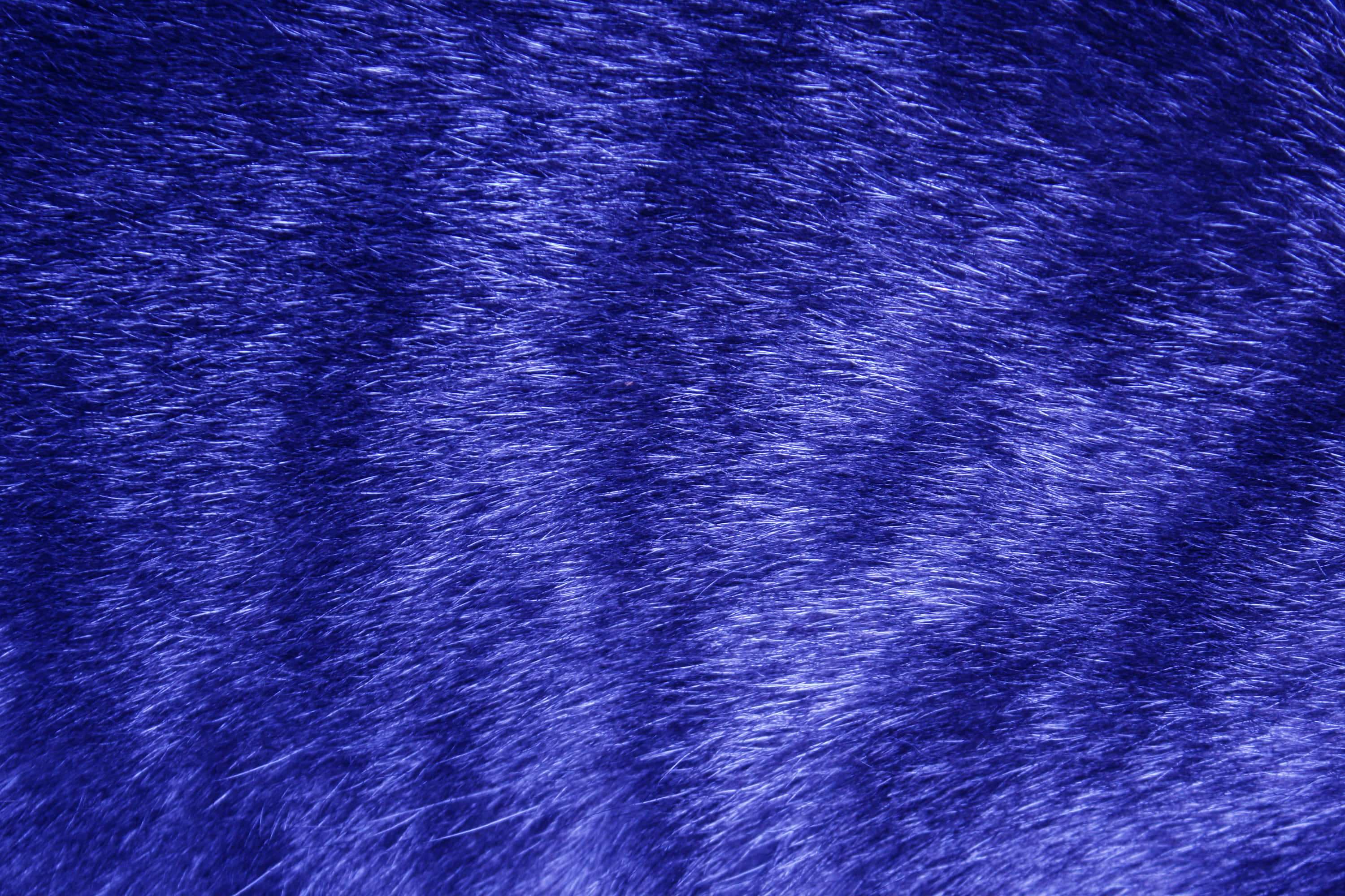 Animal Fur Picture Wallpaper