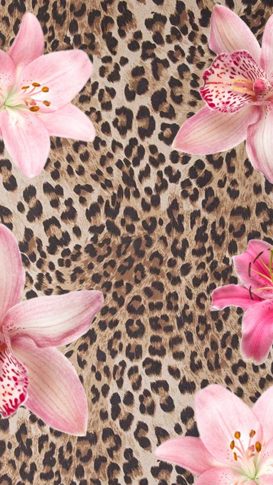 Cheetah Print Aesthetic Wallpaper