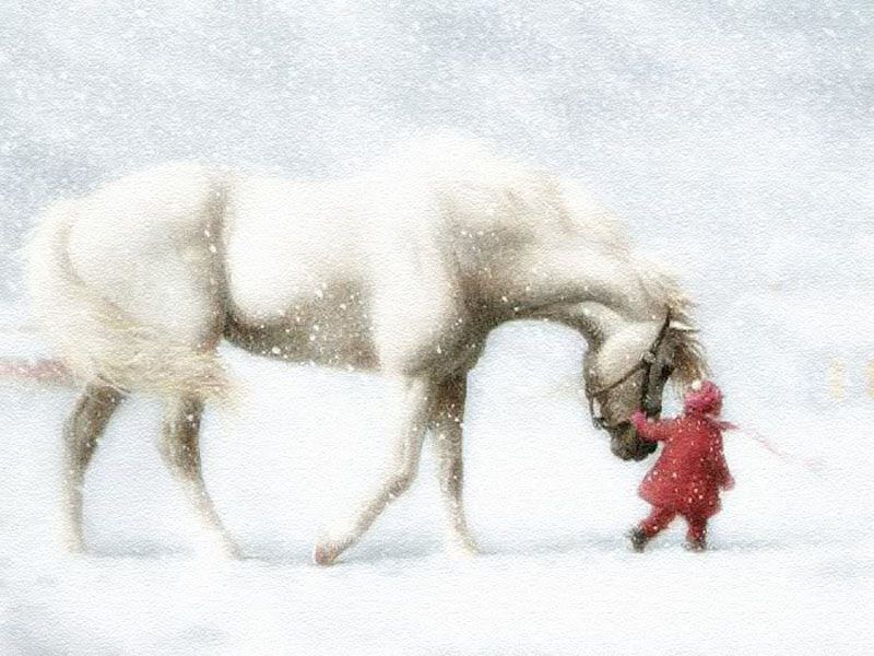 Url Quoteko Horse With Child Run Picture Wallpaper Html