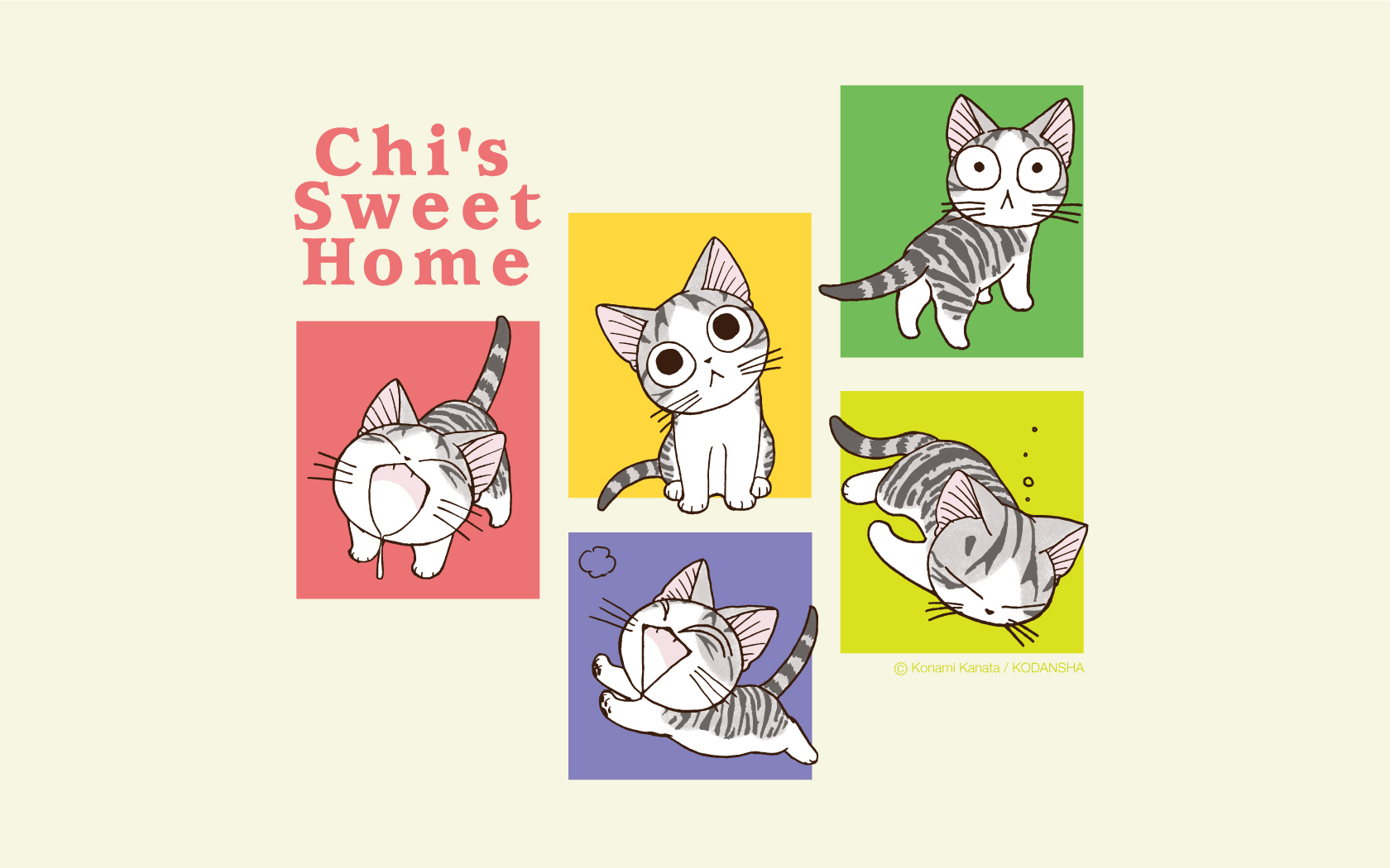 Chi S Sweet Home Wallpaper Zerochan Anime Image