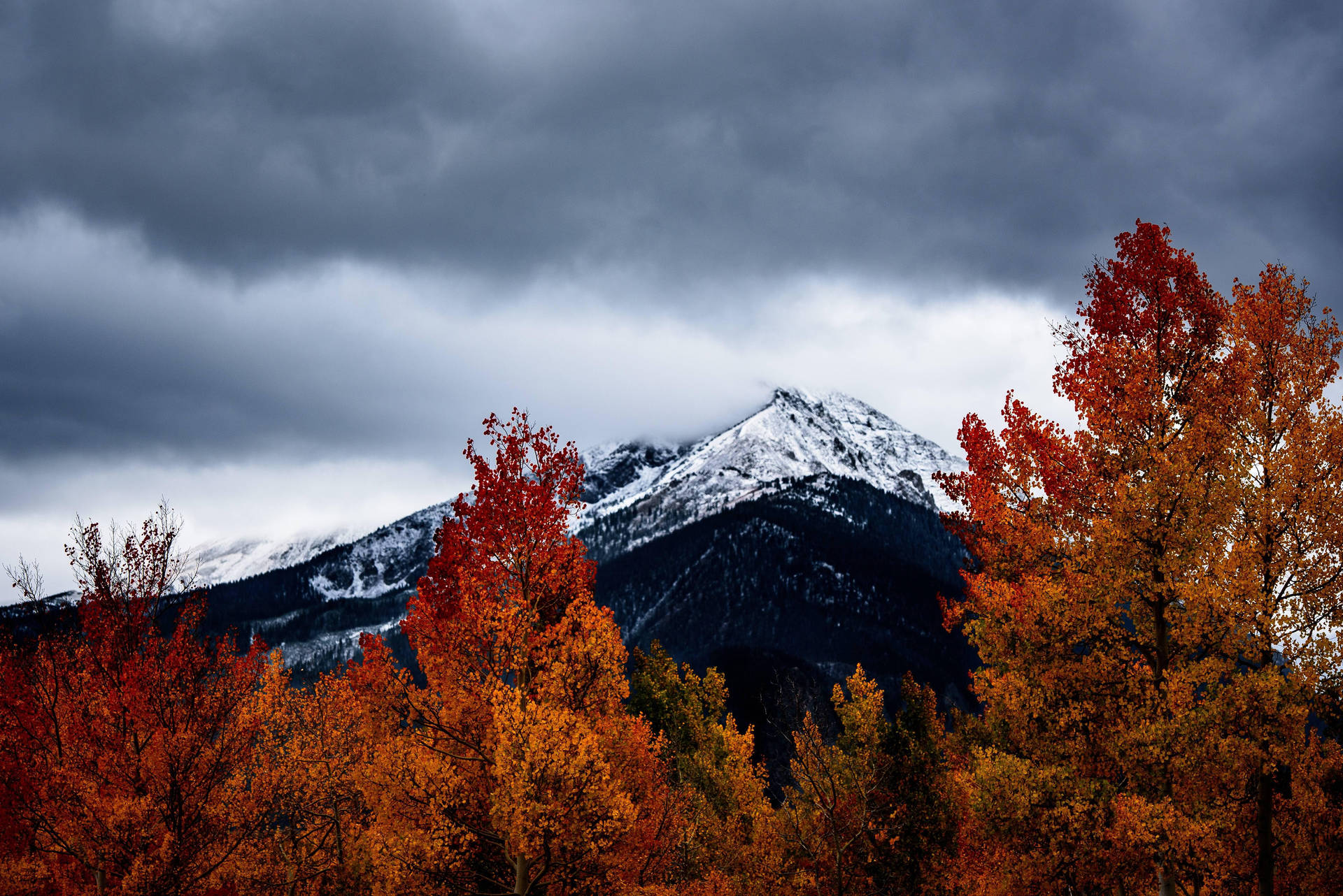 Top Cute Fall Aesthetic Wallpaper Full HD 4k To Use