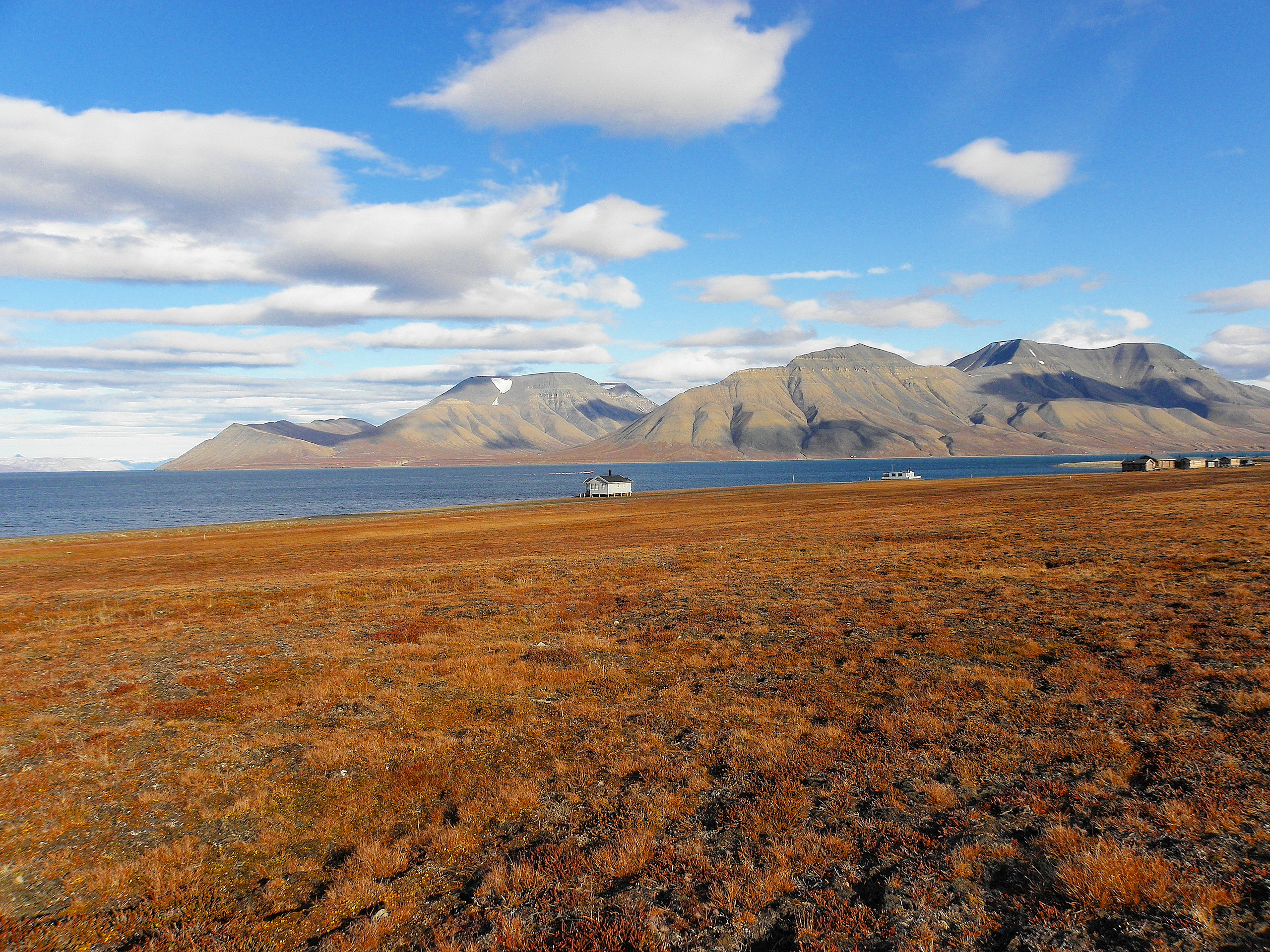 Arctic Tundra Landscape Wallpaper