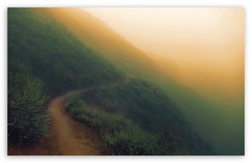 Sunol Regional Wilderness   Foggy Day HD wallpaper for Standard 43 5 510x330