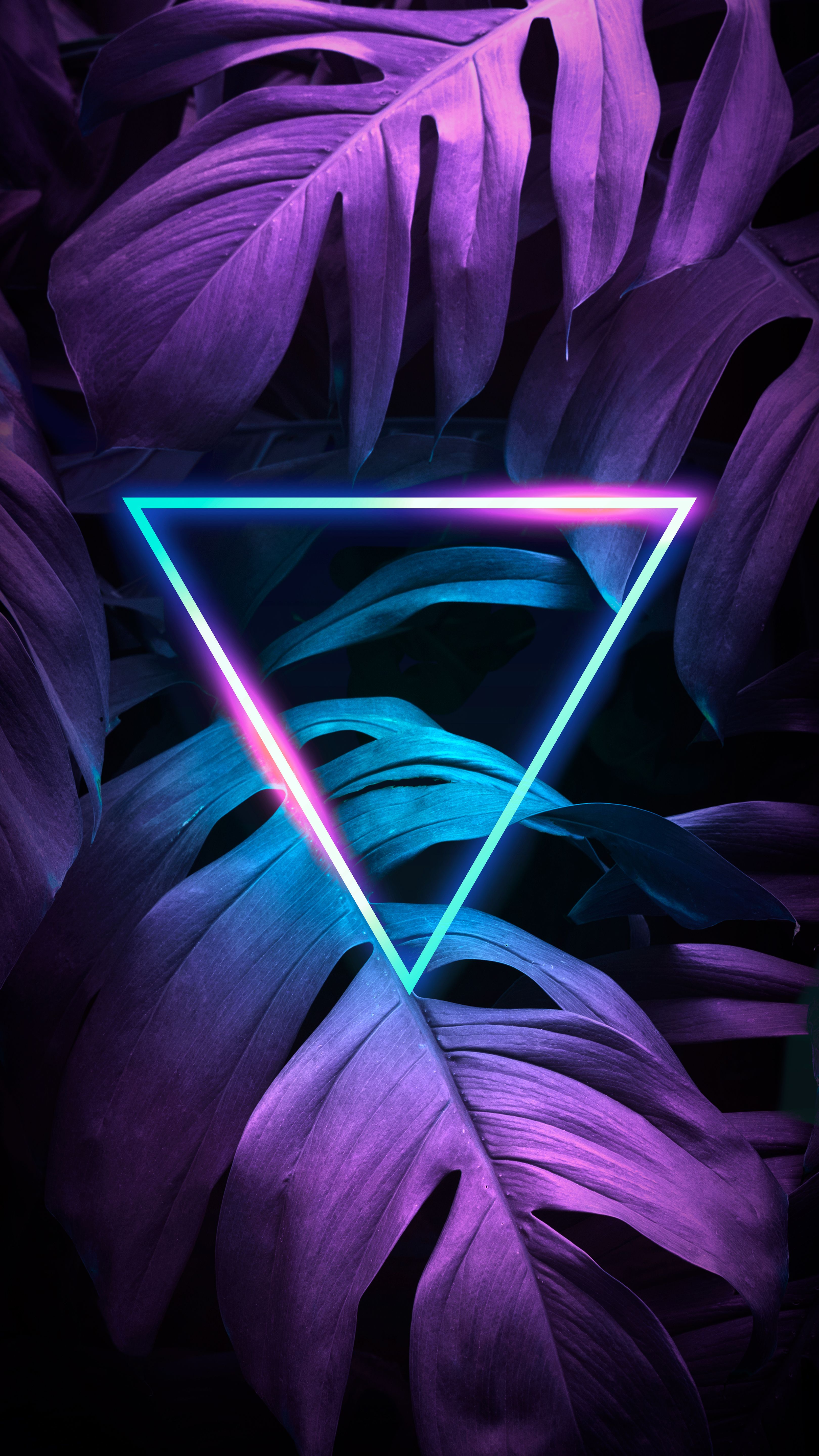 The Best Aesthetic Neon Wallpaper 4k Phone