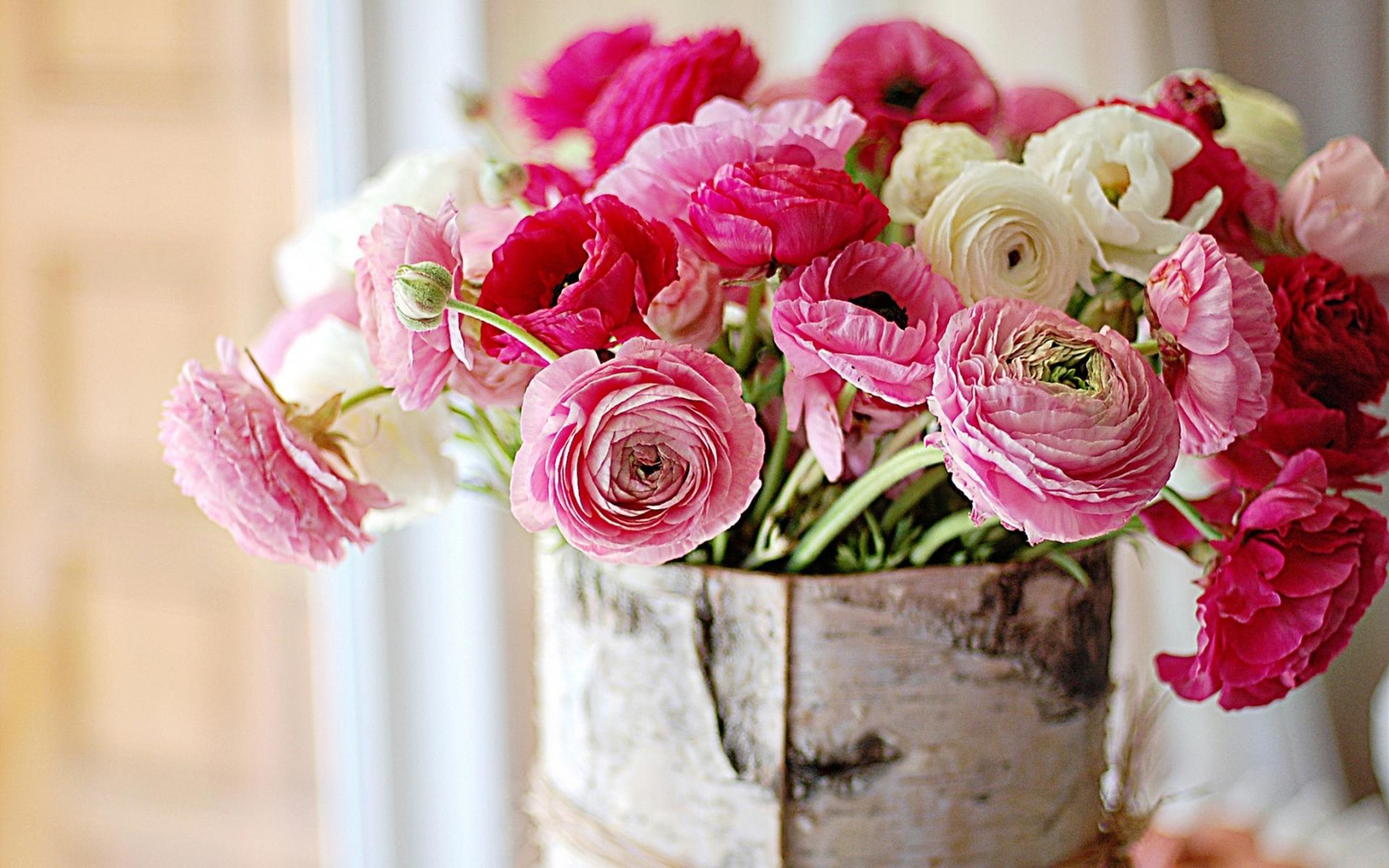 Fresh Flowers Peonies Wallpaper And Image Pictures