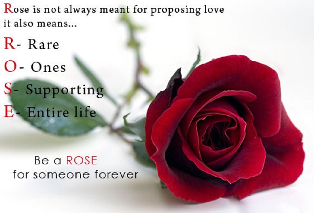 Top Happy Rose Day Quotes With HD Wallpaper