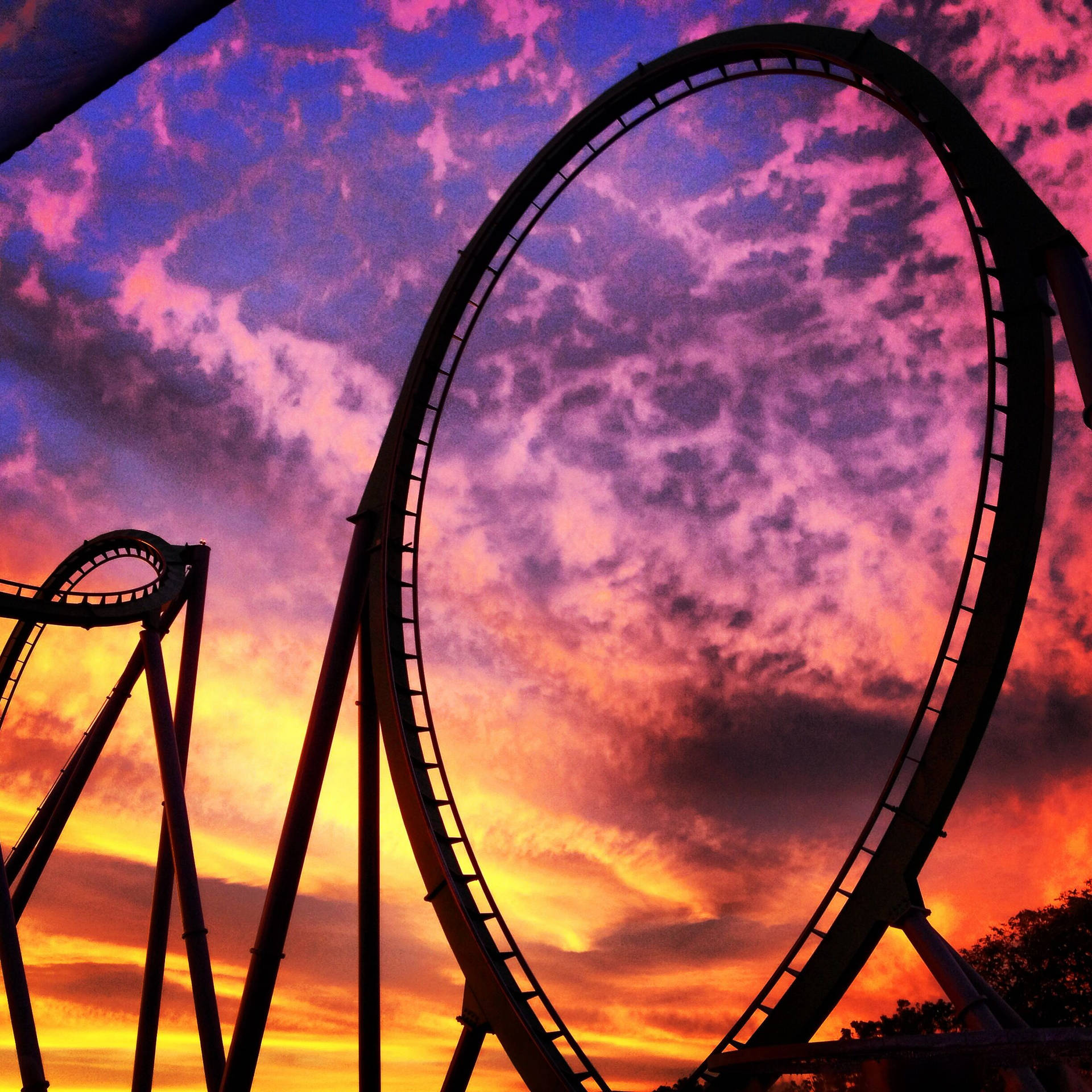 Roller Coaster Wallpaper