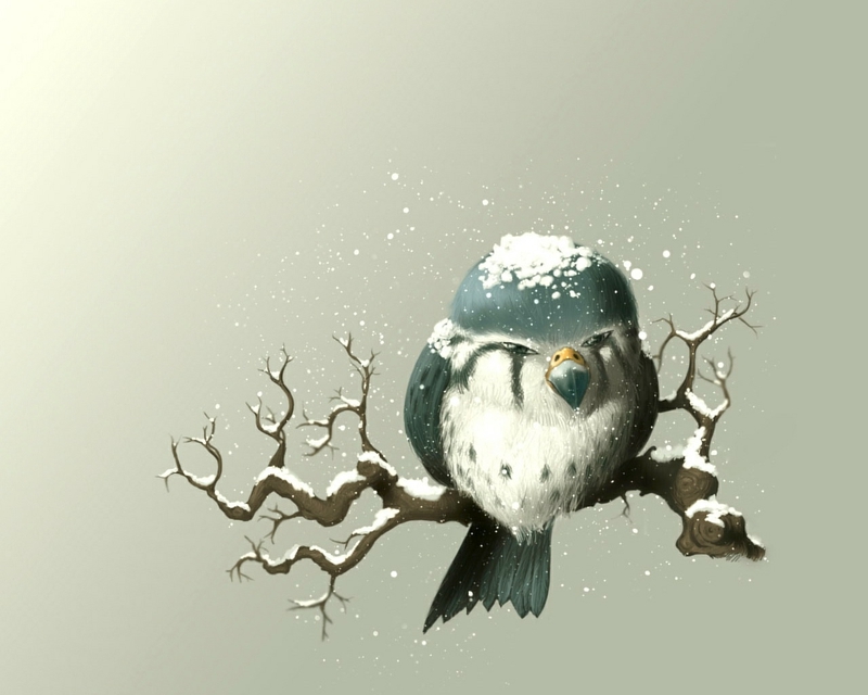 Winter Snow Birds Artwork Wallpaper Animals HD