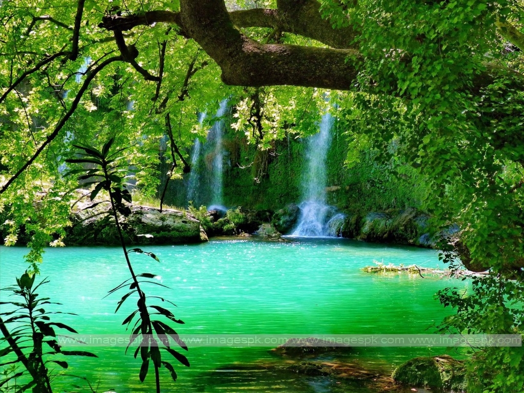 Forest Waterfall Wallpaper   Imagespkcom