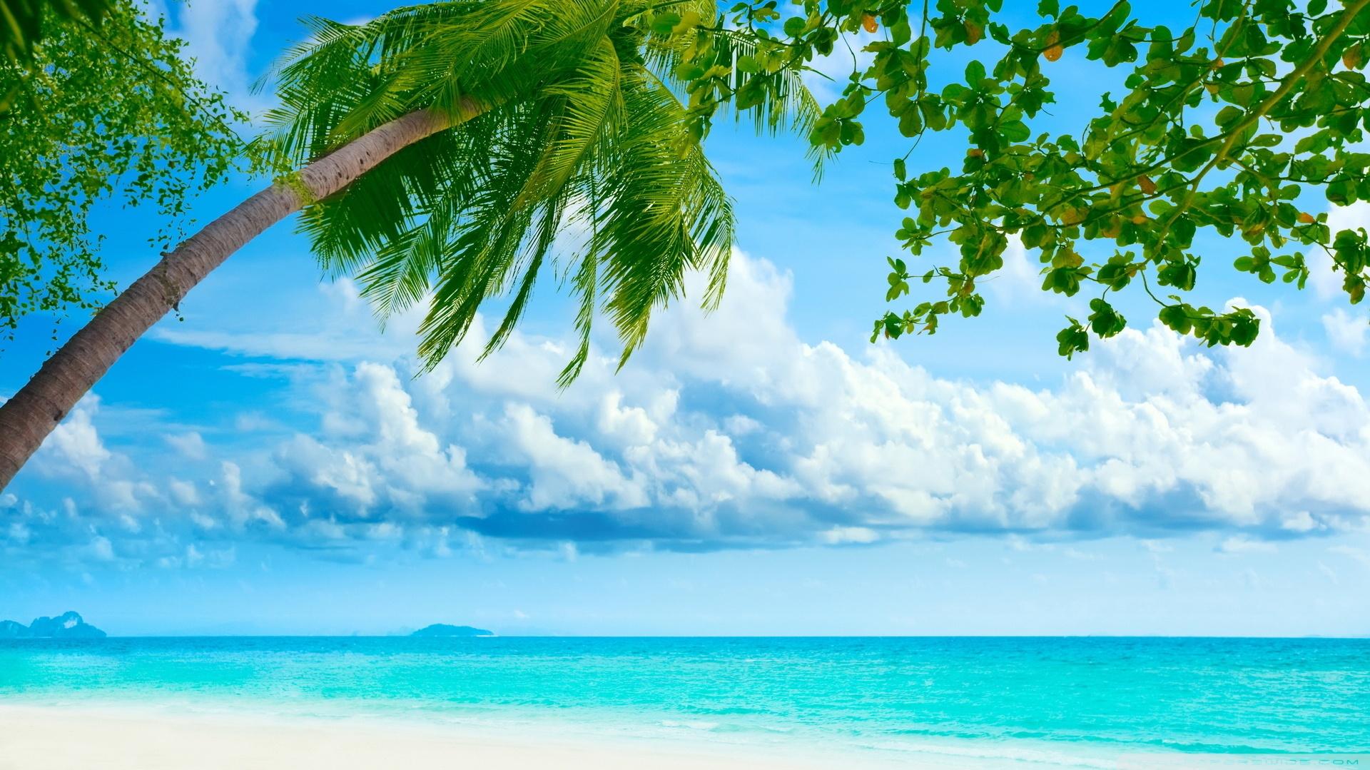 Tropical Beach Resorts Ultra HD Desktop Background Wallpaper For