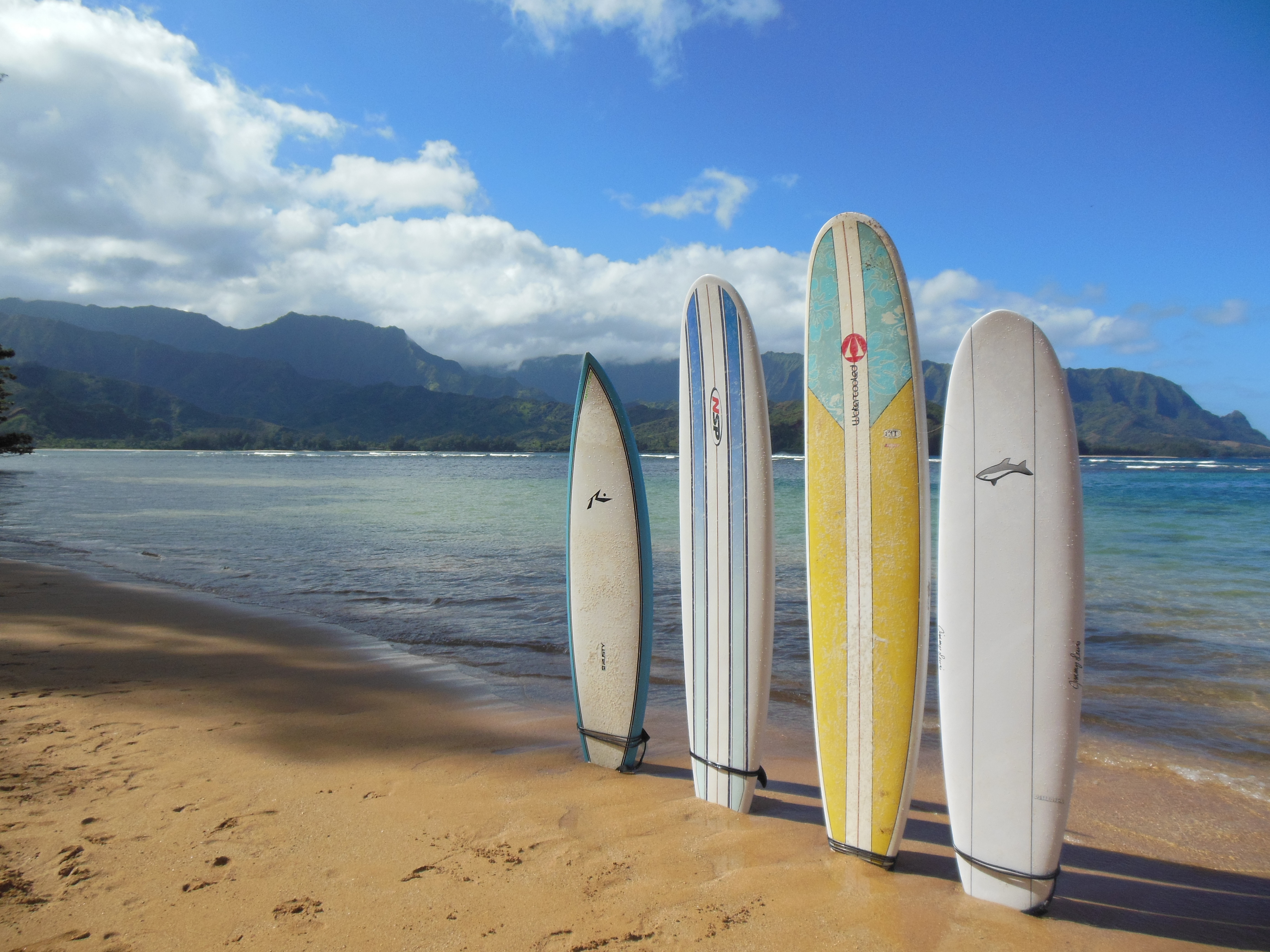 Surfboards Oc Wallpaper