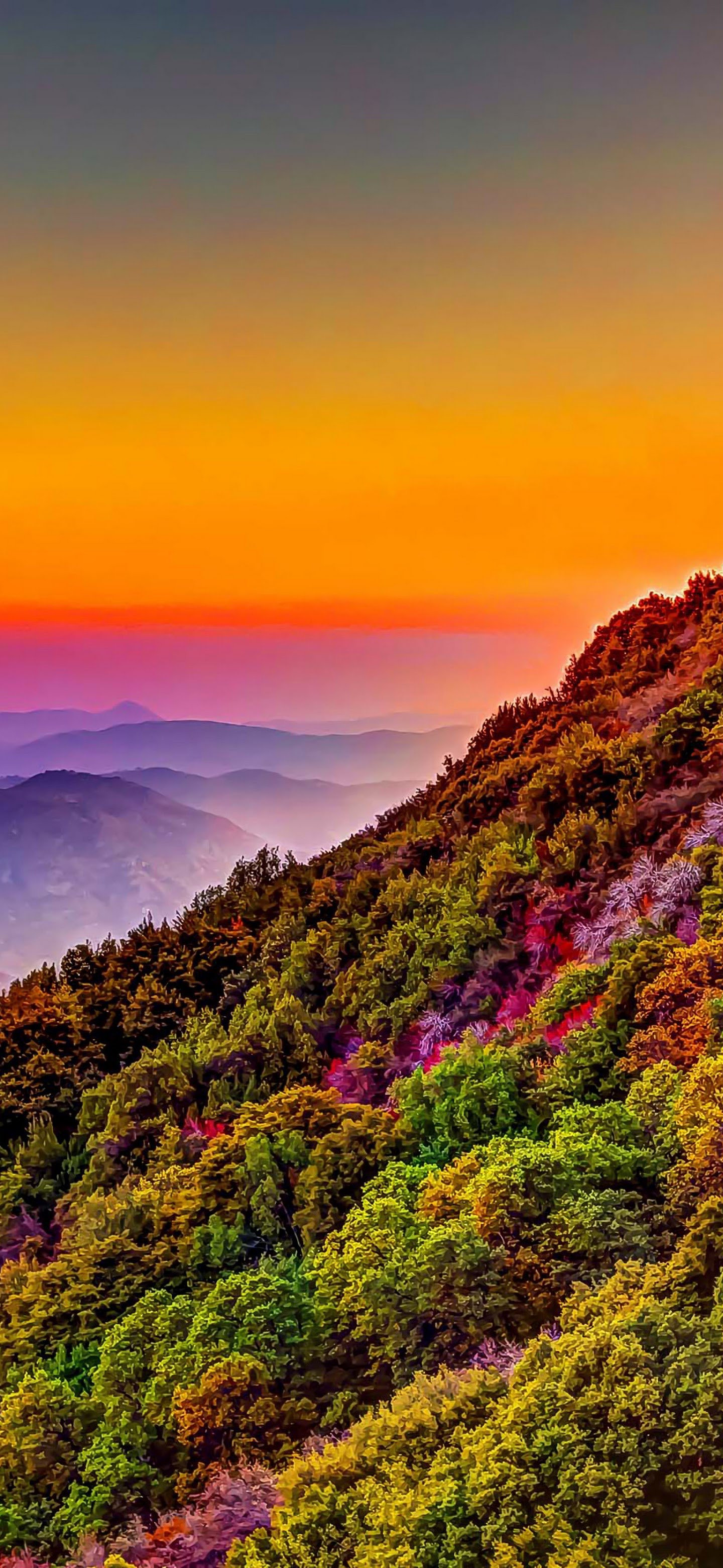 Mountain Colorful Forest Nature Sunset Scenery Ultra Hd