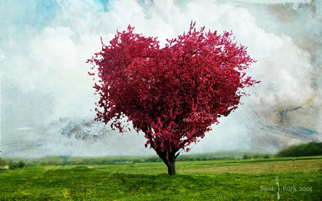 Excellent Love Tree Wallpaper HD High Resolution Image