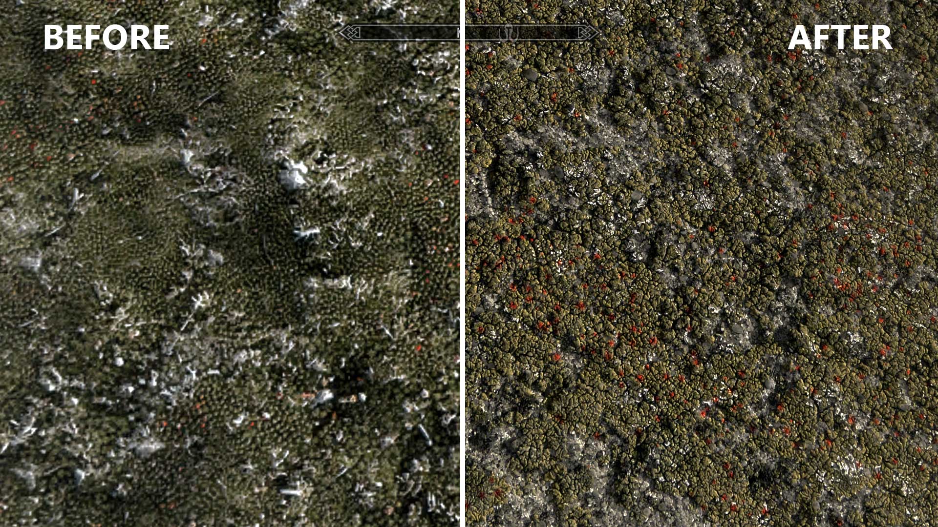 Skyrim Pack Textures Paysages HD