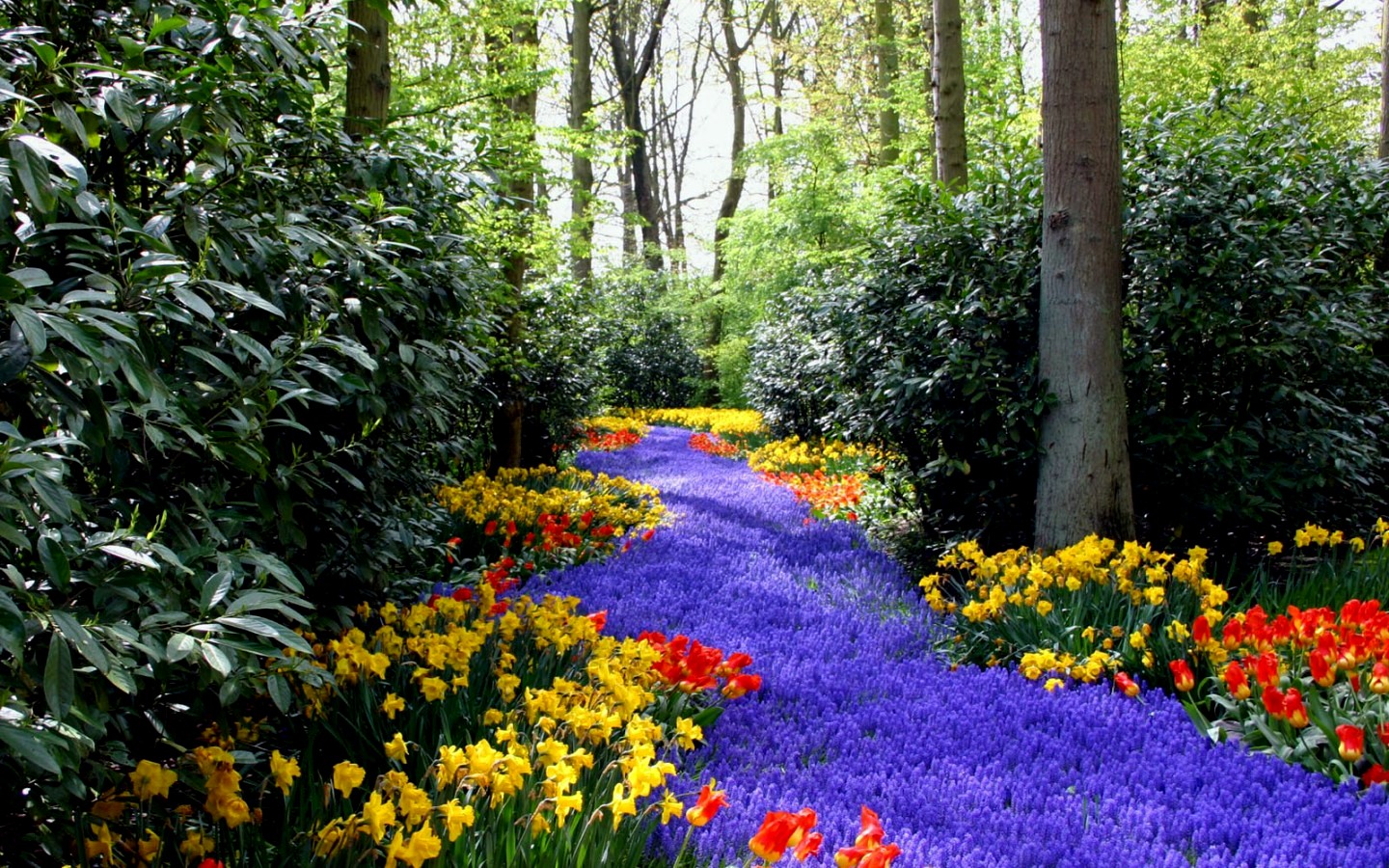 Spring Wallpaper For Your Regular Or Widescreen