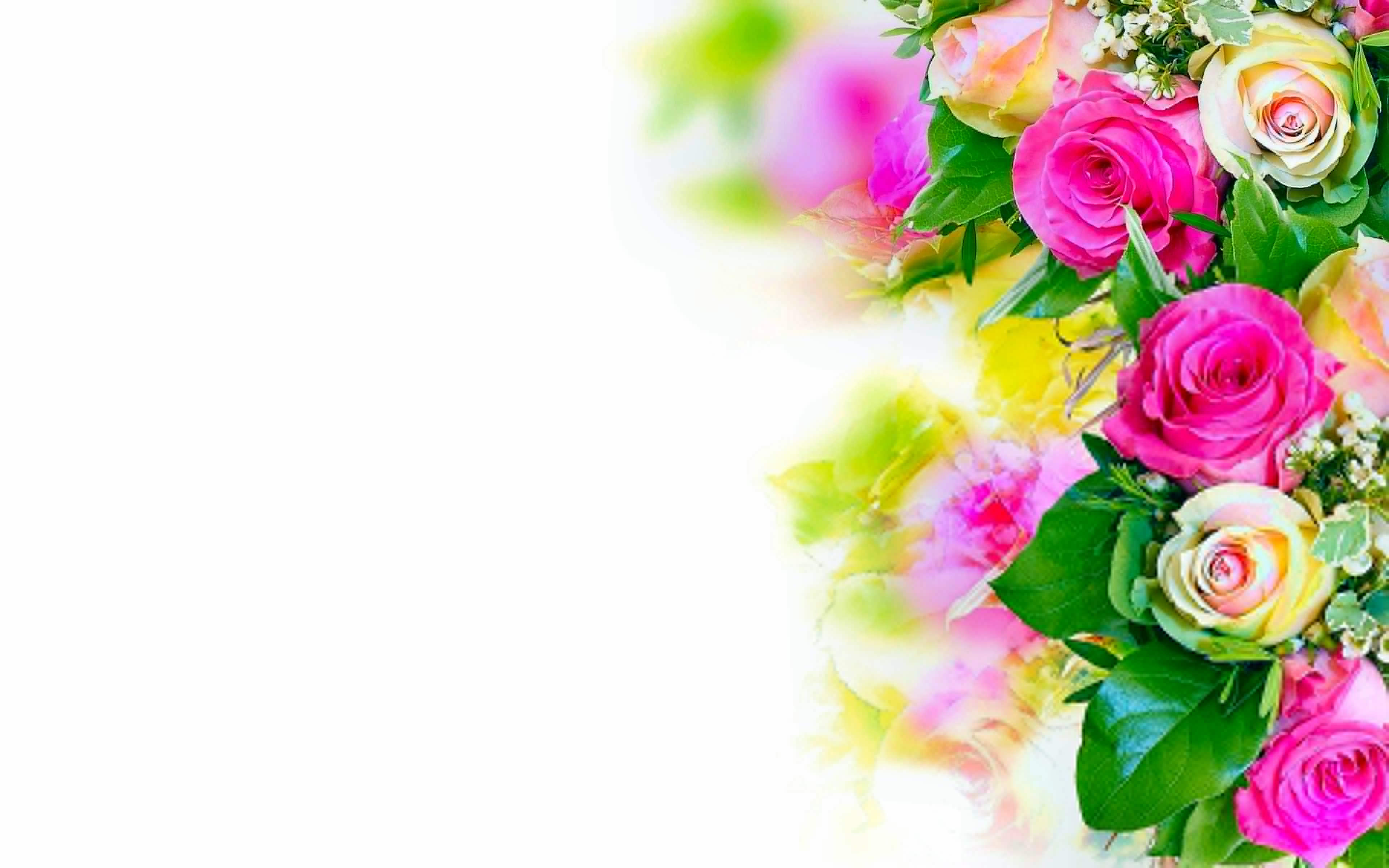 25 Roses Background Wallpapers Images Pictures