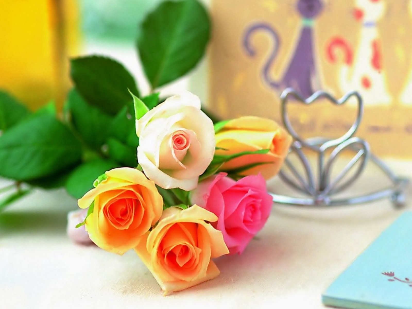 Beautiful Rose Flowers HD Wallpaper Image