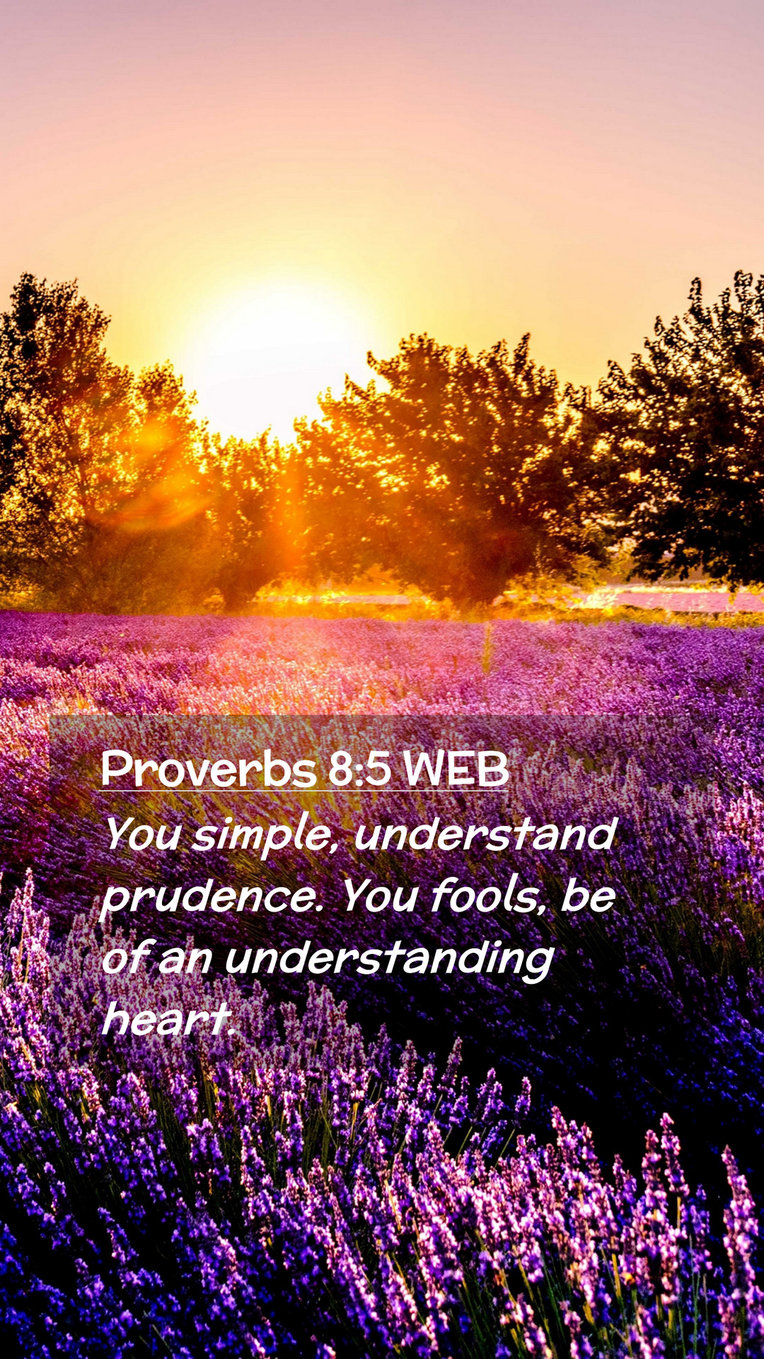 Proverbs 85 WEB Mobile Phone Wallpaper   You simple understand