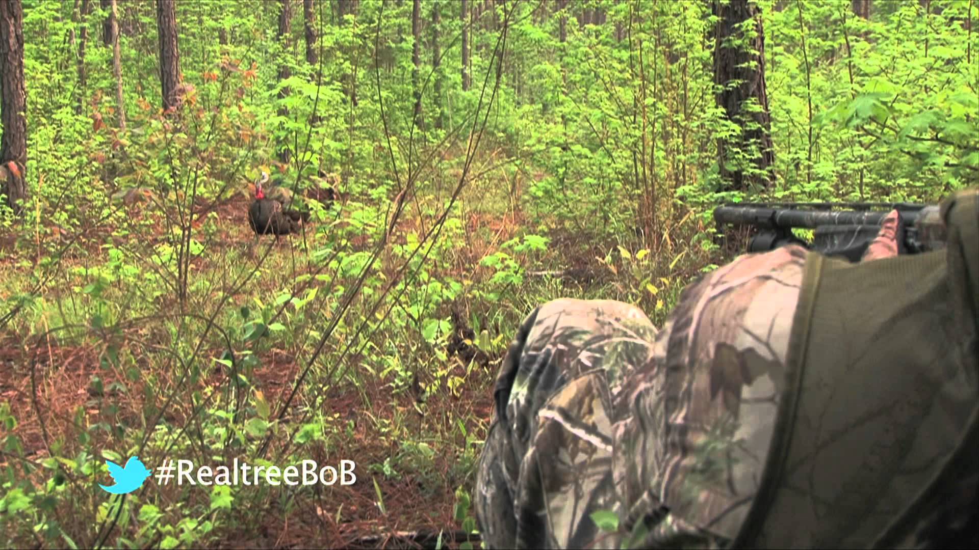 Realtree Turkey Hunting Wallpaper With
