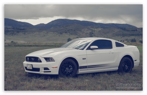 Ford Mustang HD Wallpaper For Standard Fullscreen Uxga Xga