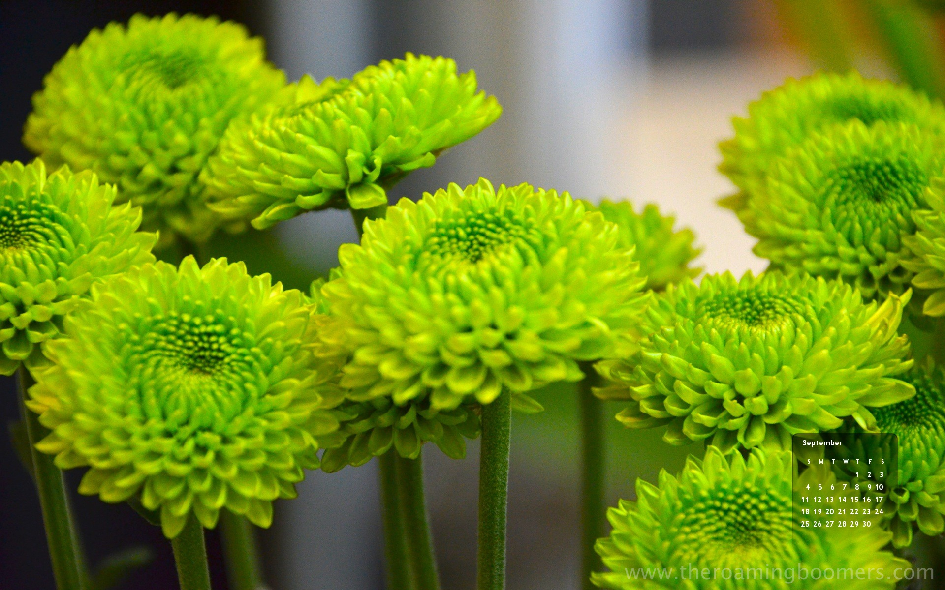 Free Calendar Wallpaper For Computer WallpaperSafari