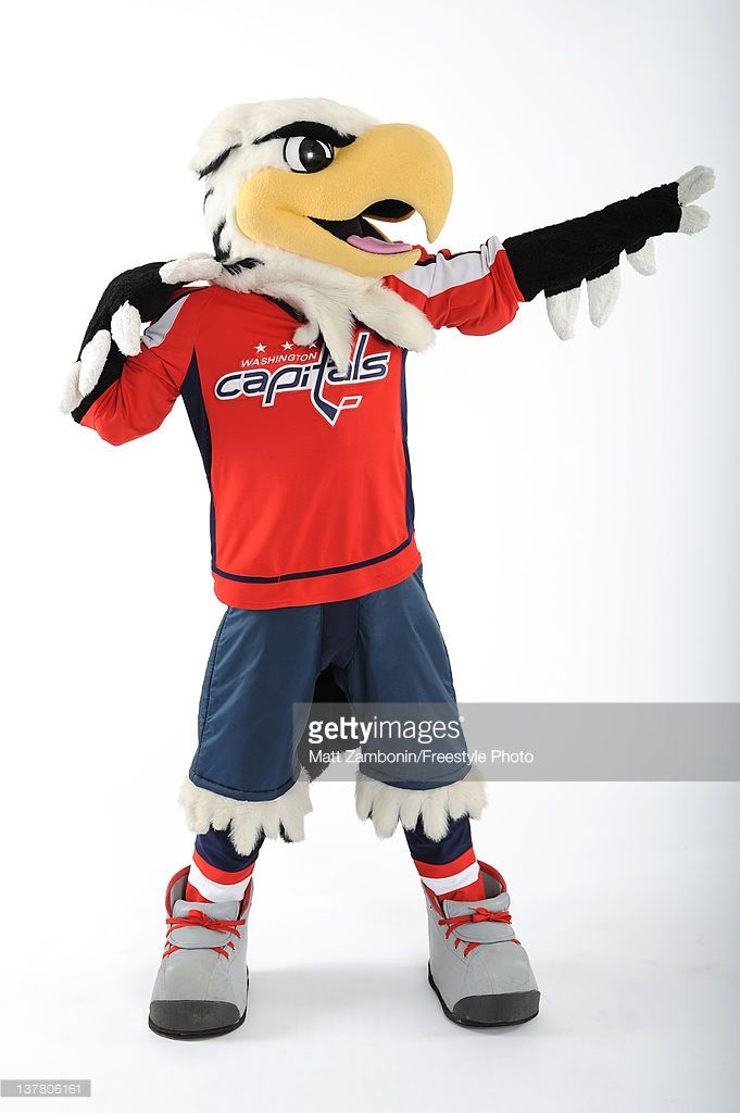 NHL Playoffs Mascot Art by Eric Poole
