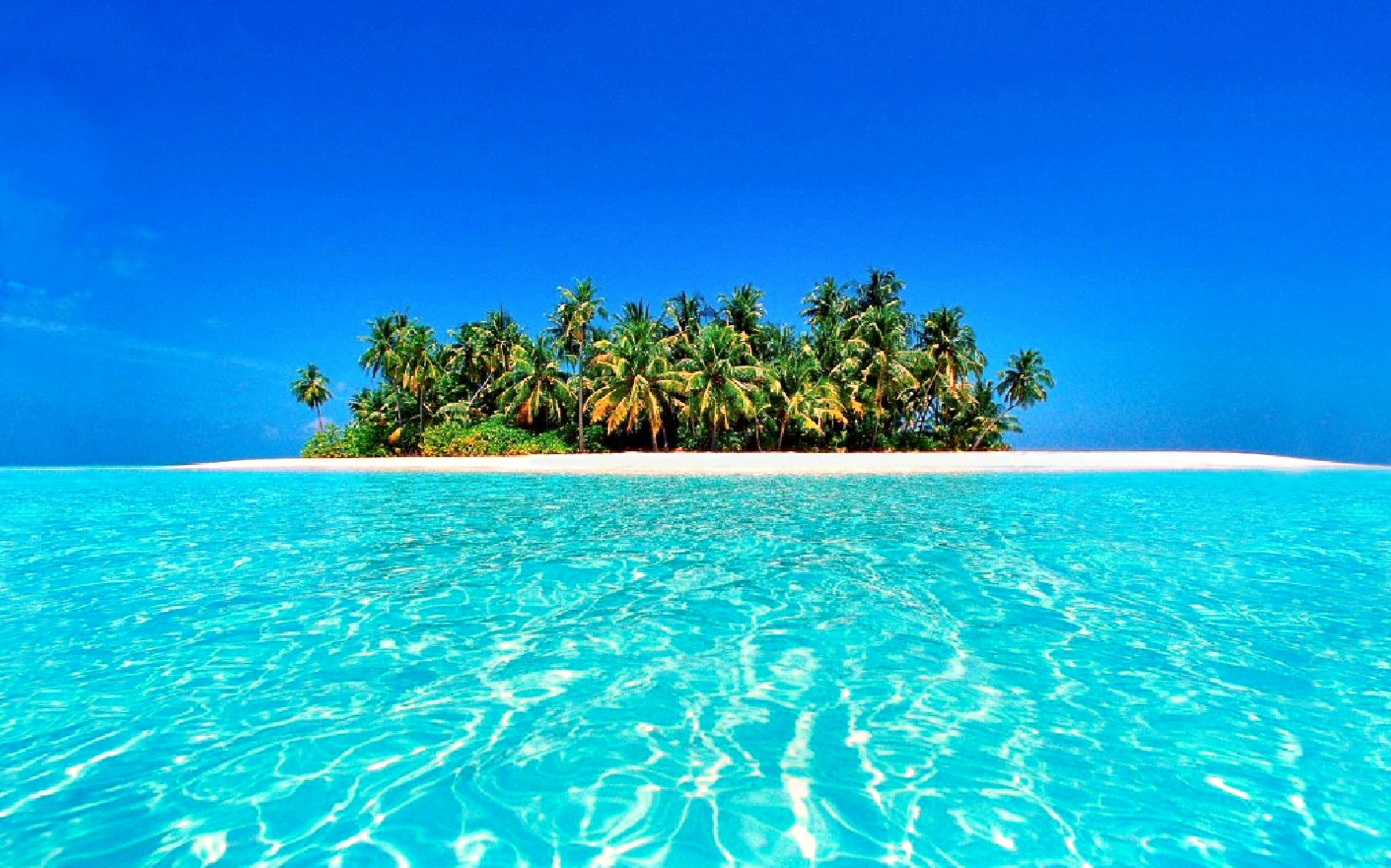 Tropical Wallpapers