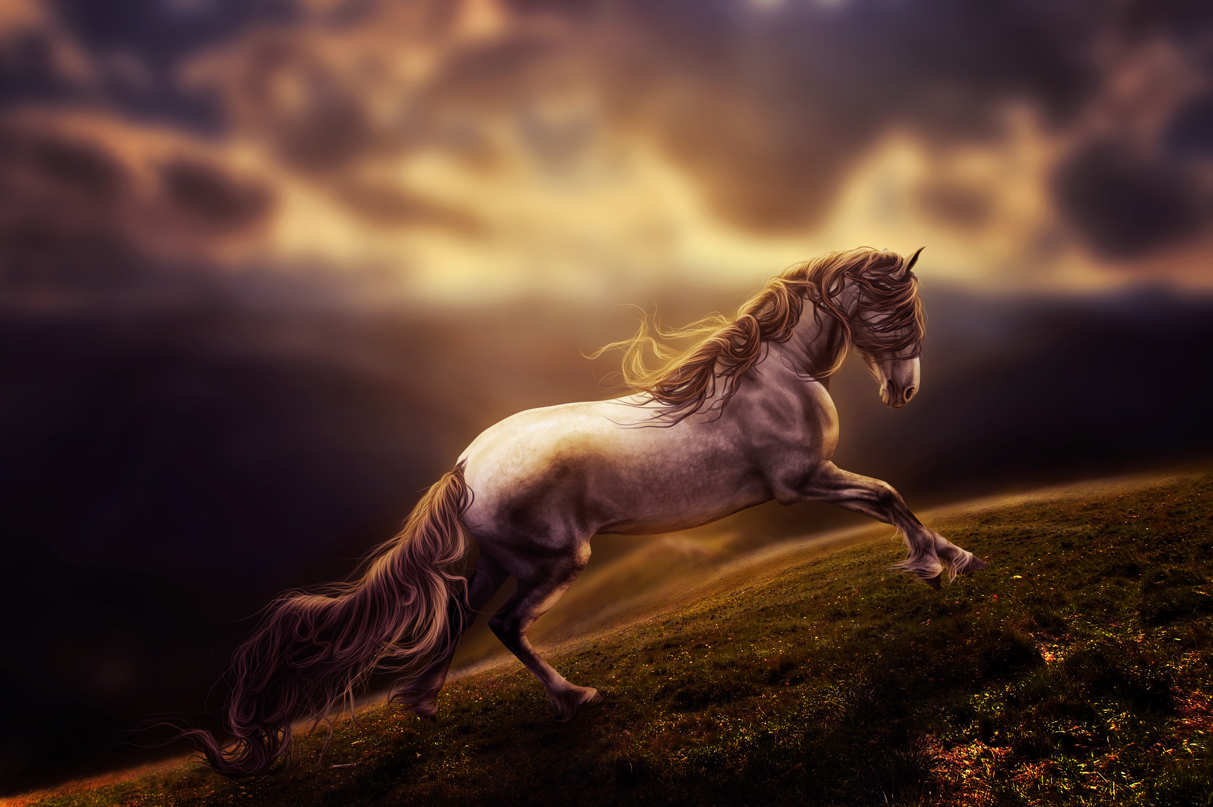 Horse Art Painting Fantasy F Wallpaper