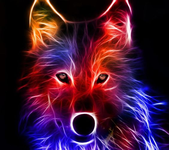 Multi Color Wolf Face Pic Gif S