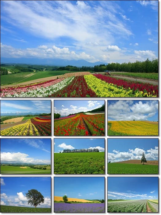 Japan Hokkaido Landscape Wallpapers Pack All Wallpaperz Free