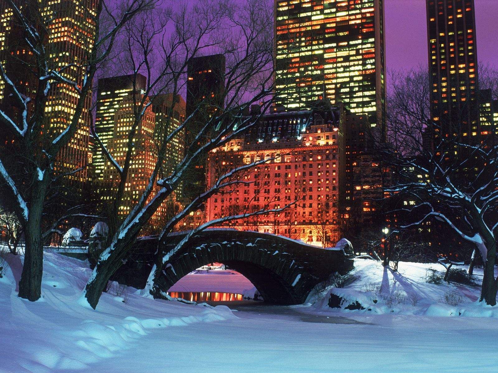 Snow Park New York Widescreen Christmas Wallpaper