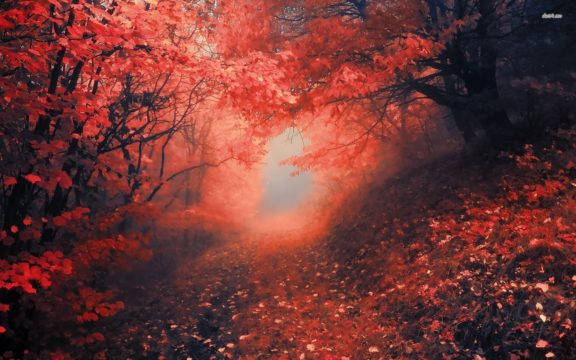 Red Forest Wallpaper Artistic