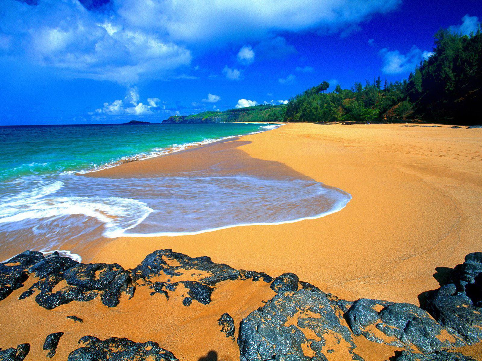 Hawaii Beach Photos Image