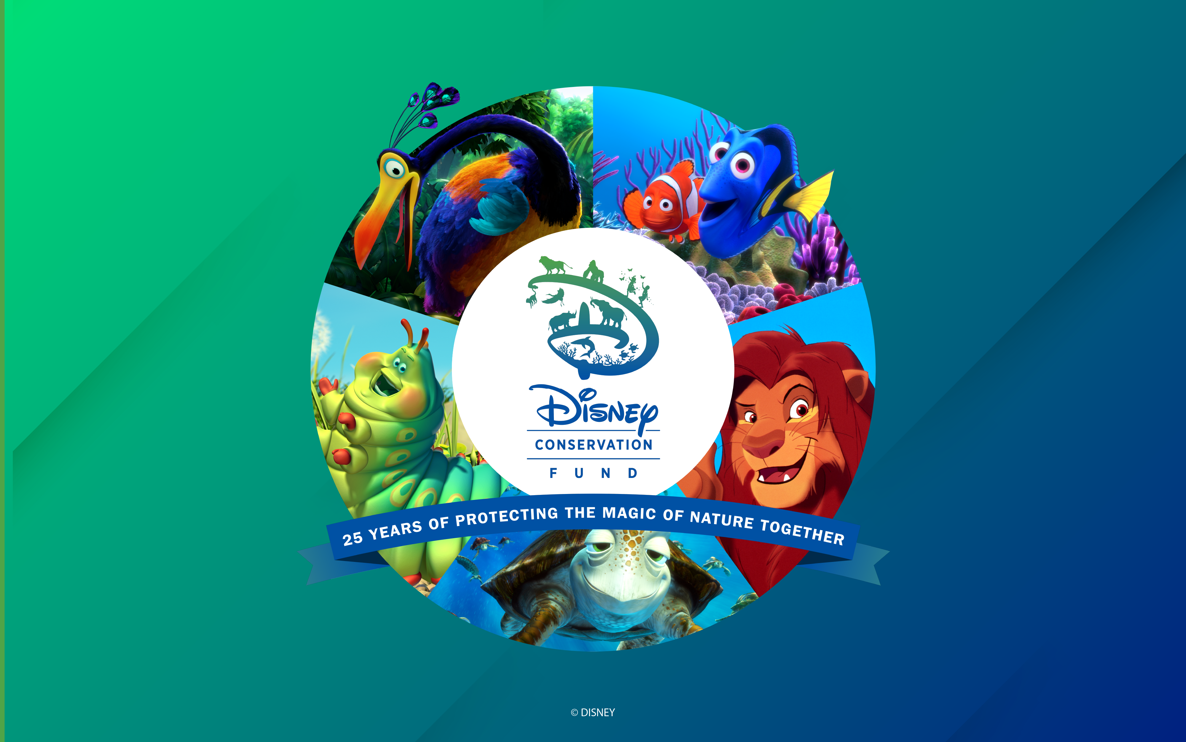 Video Disney Conservation Fund Celebrates Years Of Action And
