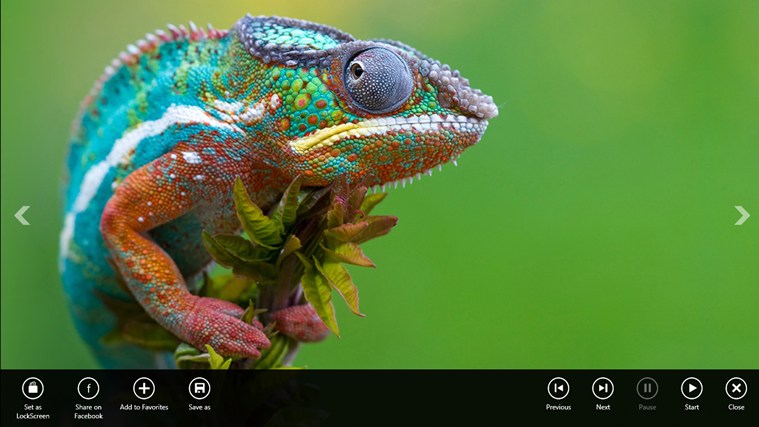 Wildlife Animal Wallpapers HD app for Windows in the Windows Store 759x427